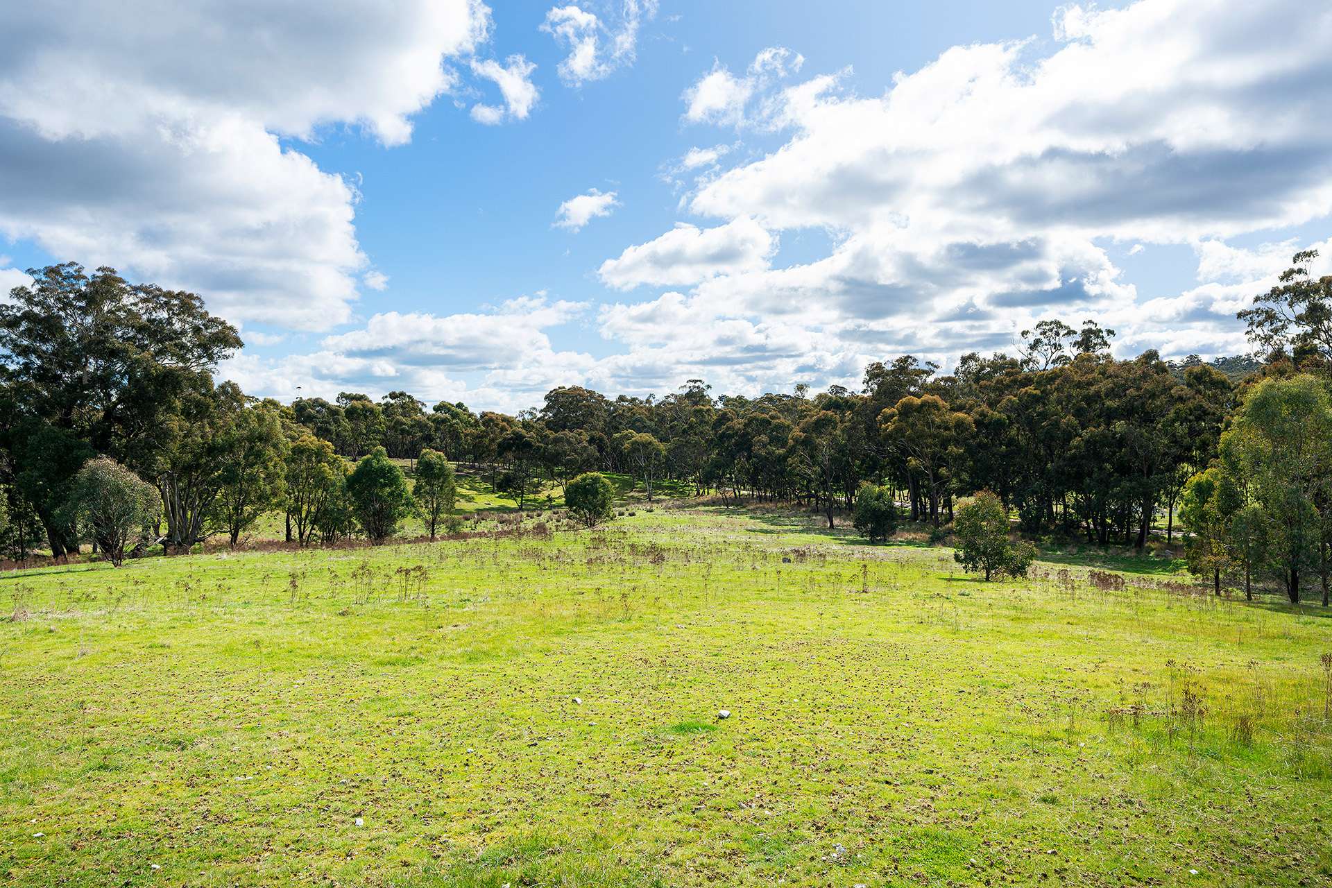 320 Boundary Gully Road, Werona For Sale by Farmbuy.com - image 28