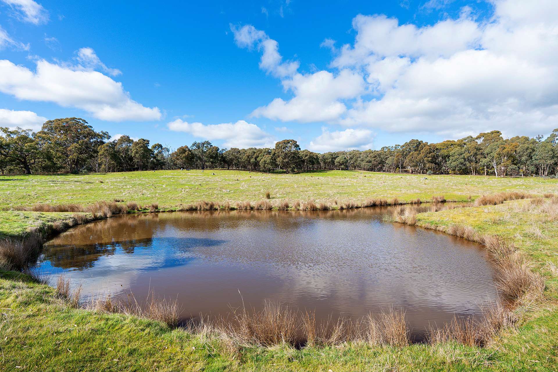 320 Boundary Gully Road, Werona For Sale by Farmbuy.com - image 18