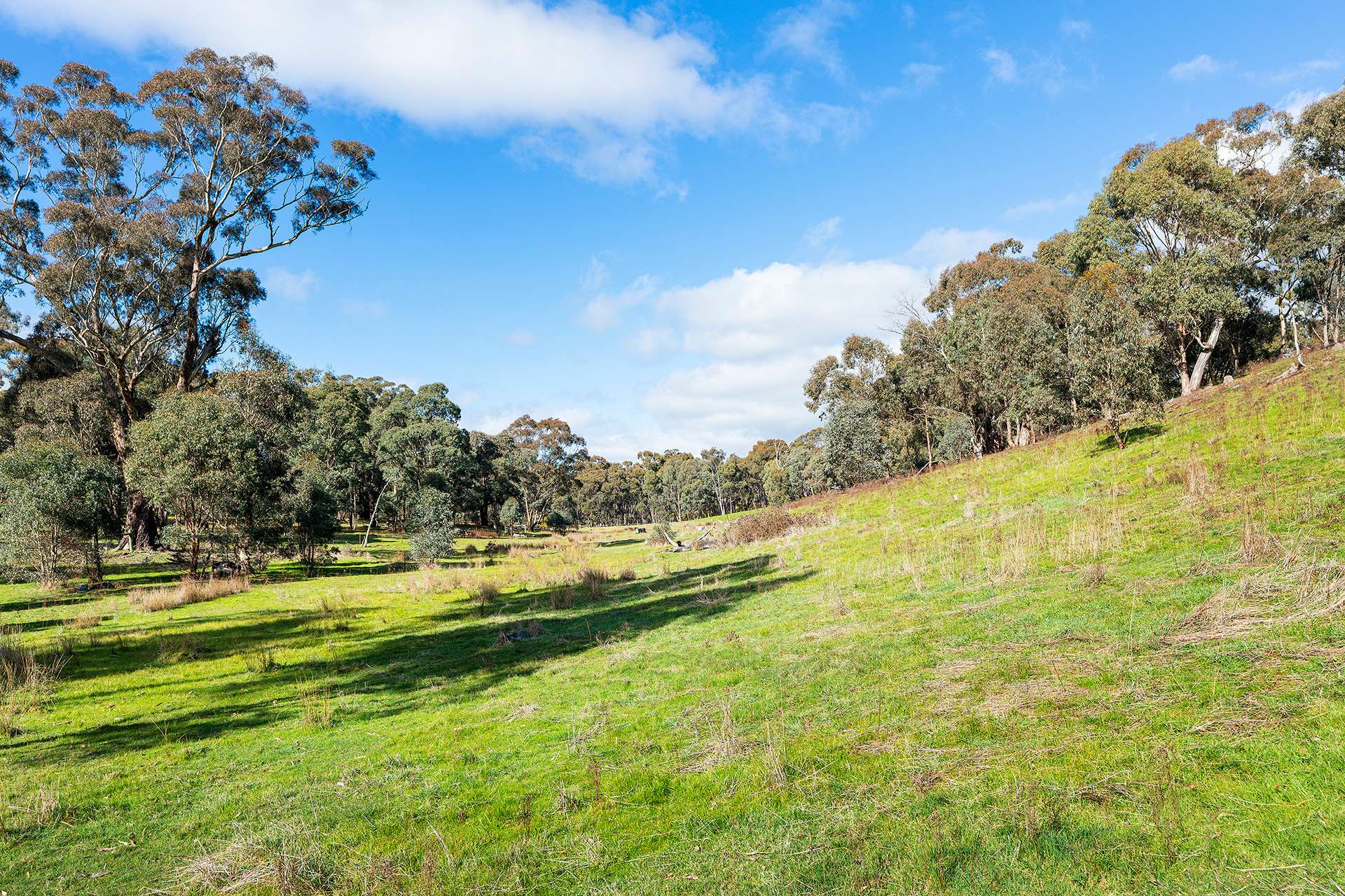 320 Boundary Gully Road, Werona For Sale by Farmbuy.com - image 16