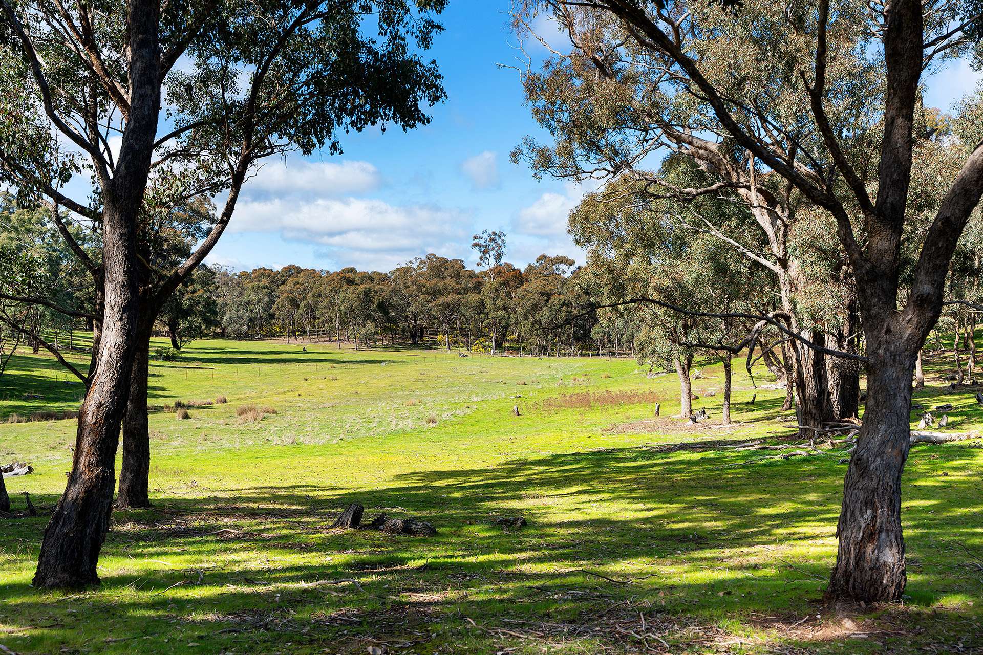 320 Boundary Gully Road, Werona For Sale by Farmbuy.com - image 15