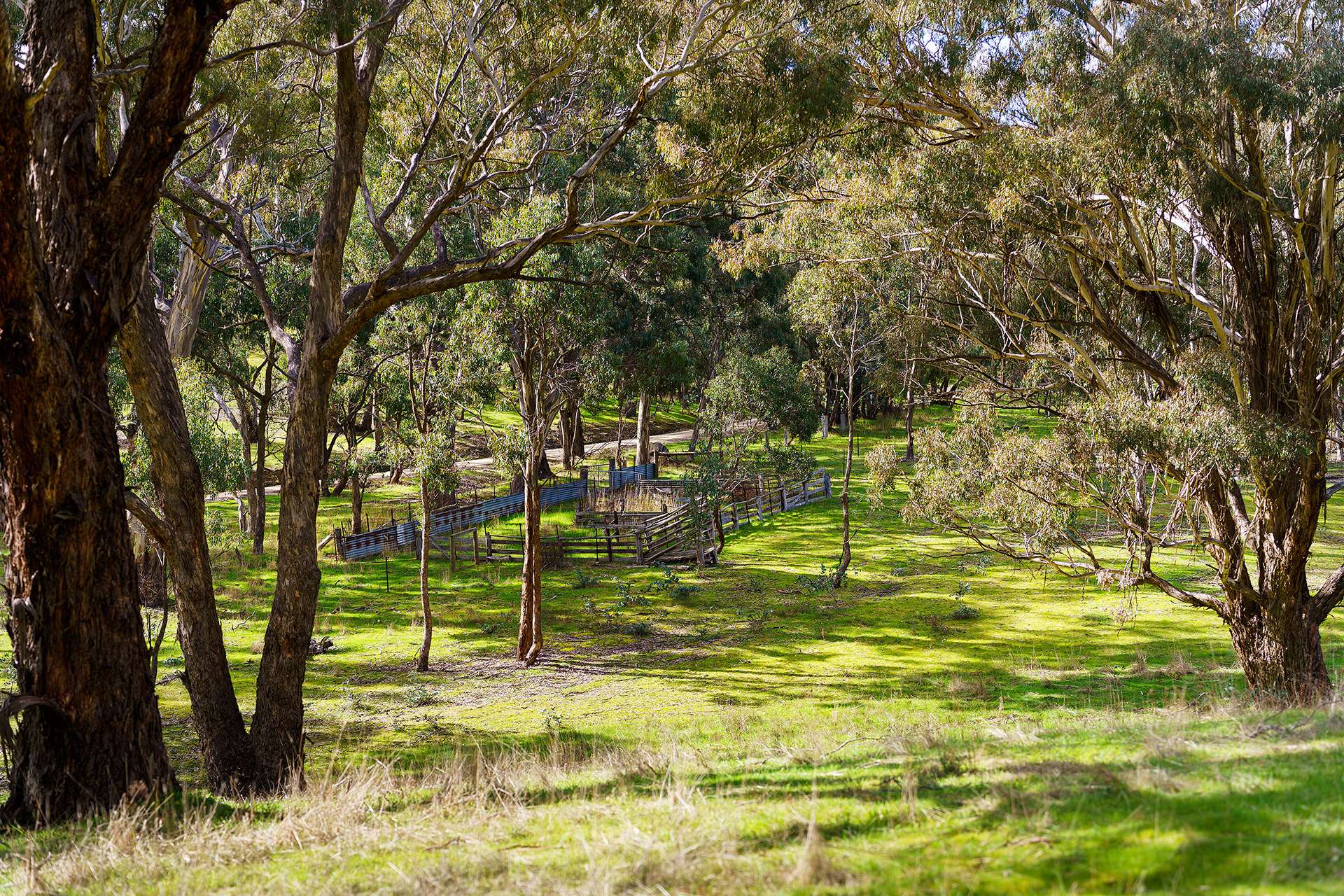 320 Boundary Gully Road, Werona For Sale by Farmbuy.com - image 25