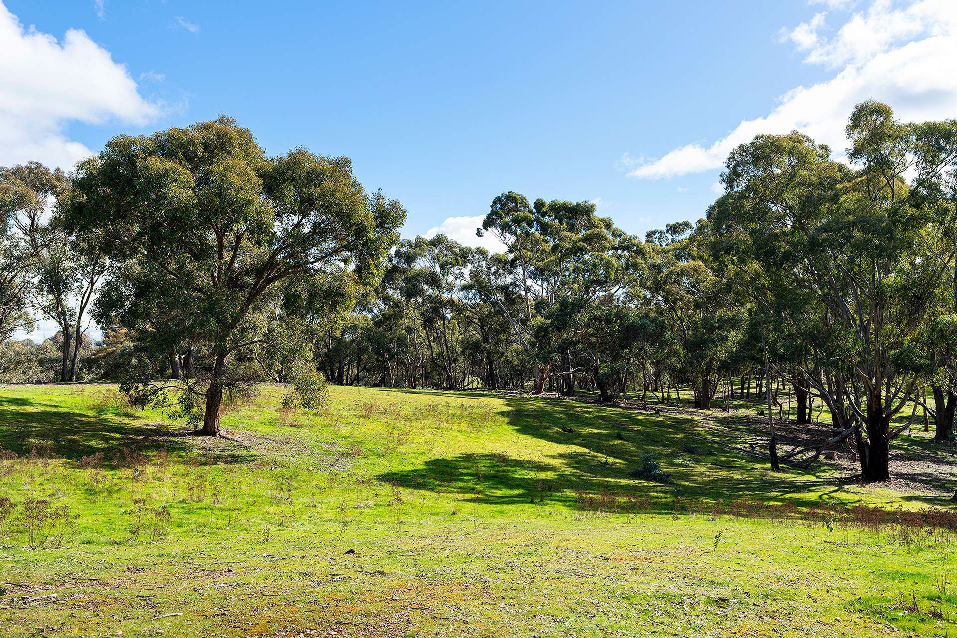 320 Boundary Gully Road, Werona For Sale by Farmbuy.com - image 22