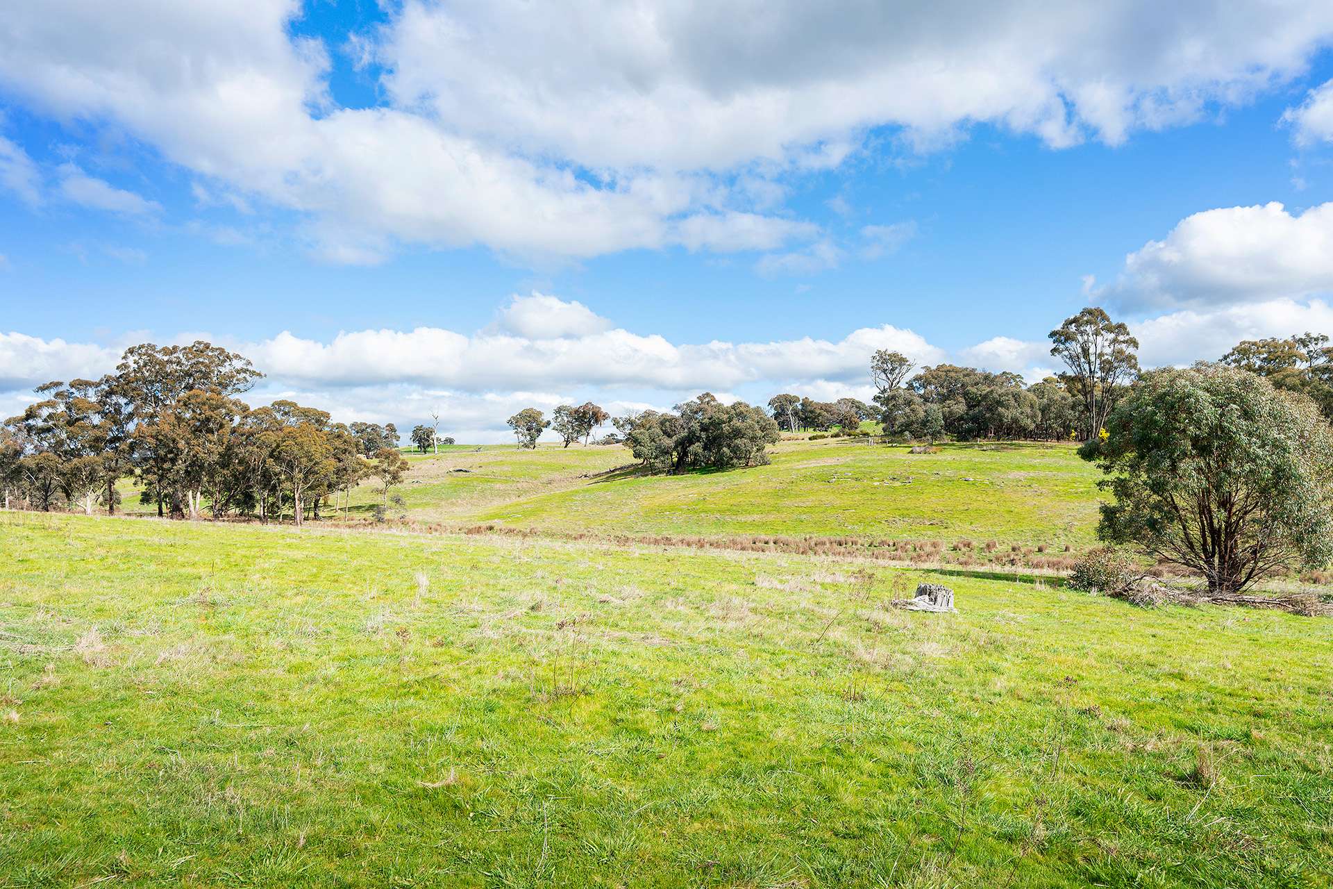 320 Boundary Gully Road, Werona For Sale by Farmbuy.com - image 26