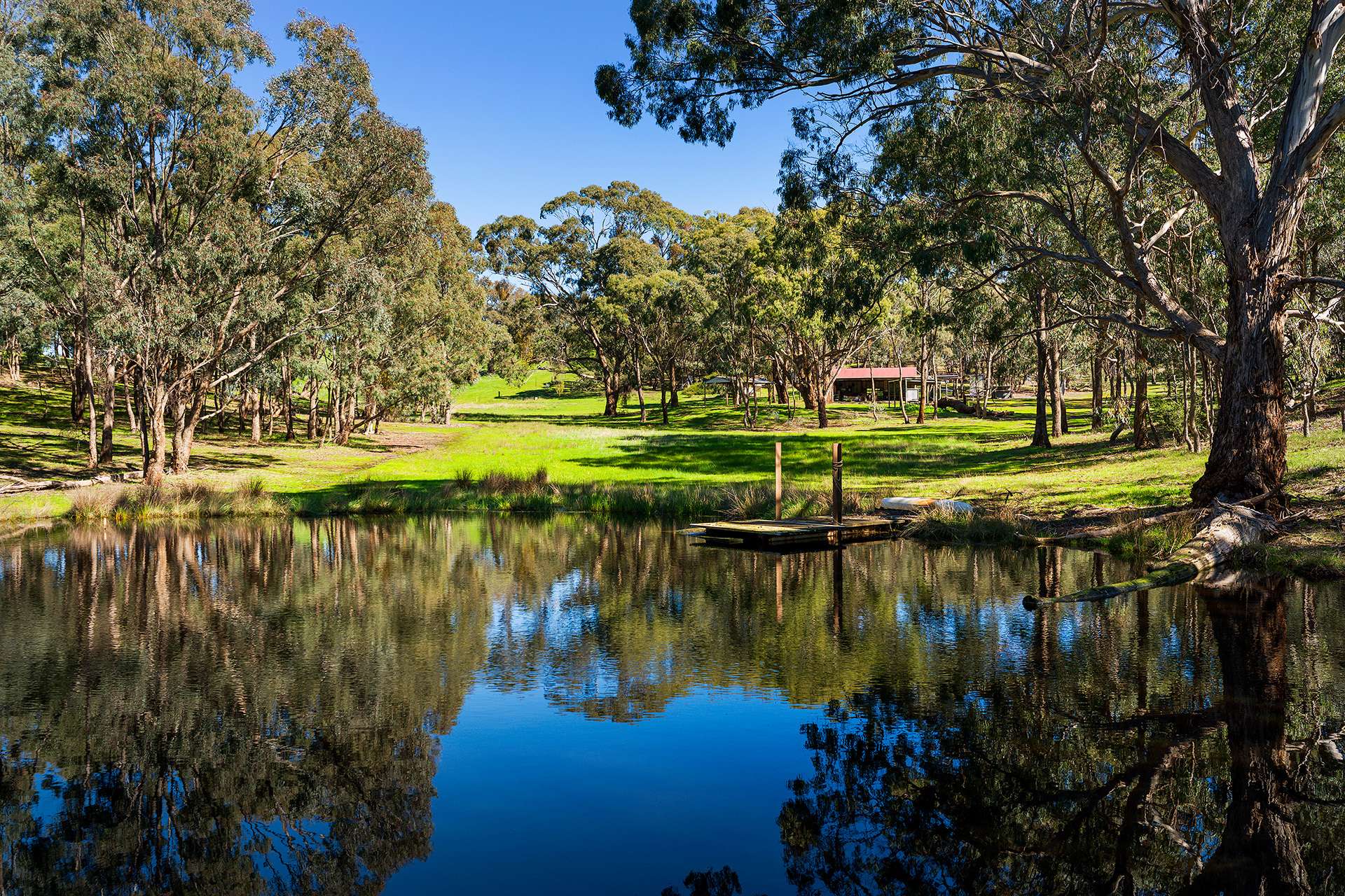 320 Boundary Gully Road, Werona For Sale by Farmbuy.com - image 6