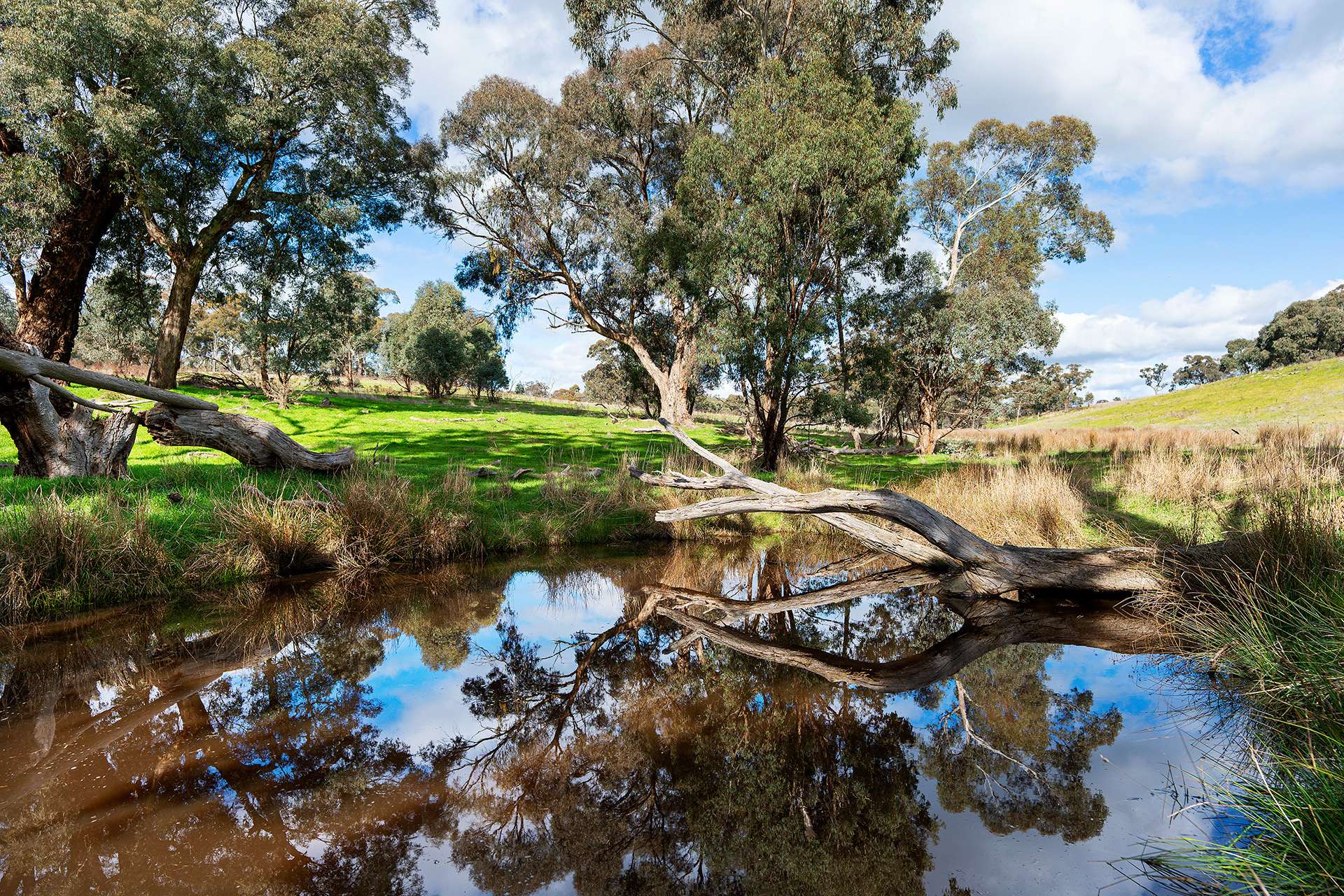 320 Boundary Gully Road, Werona For Sale by Farmbuy.com - image 24