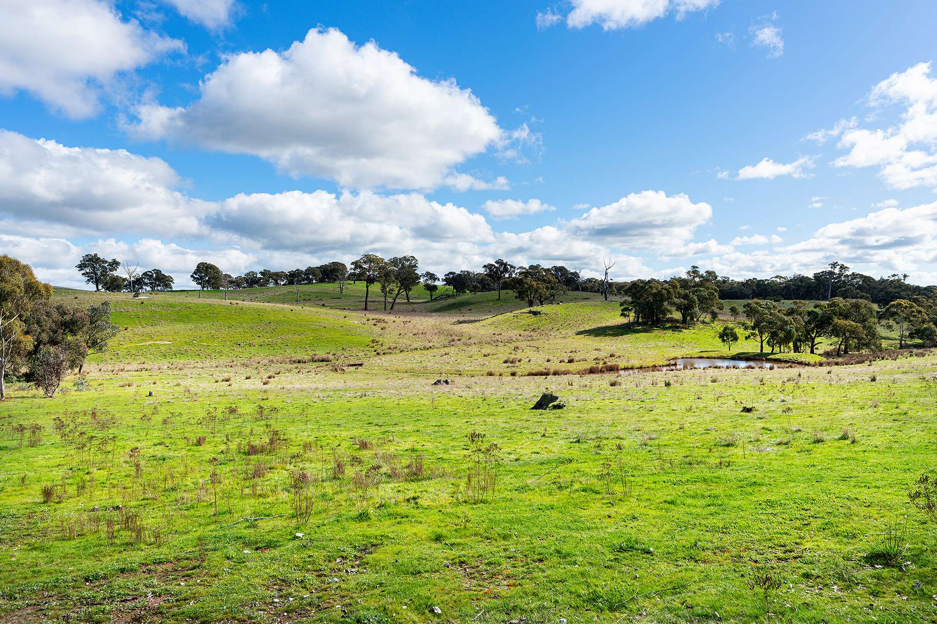 320 Boundary Gully Road, Werona For Sale by Farmbuy.com - image 23