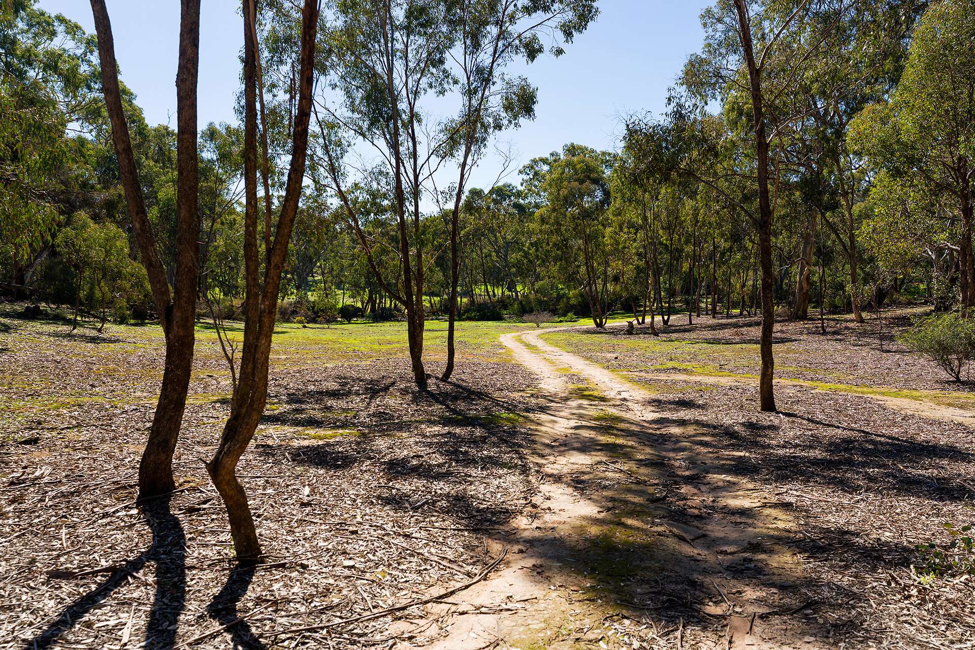 320 Boundary Gully Road, Werona For Sale by Farmbuy.com - image 29