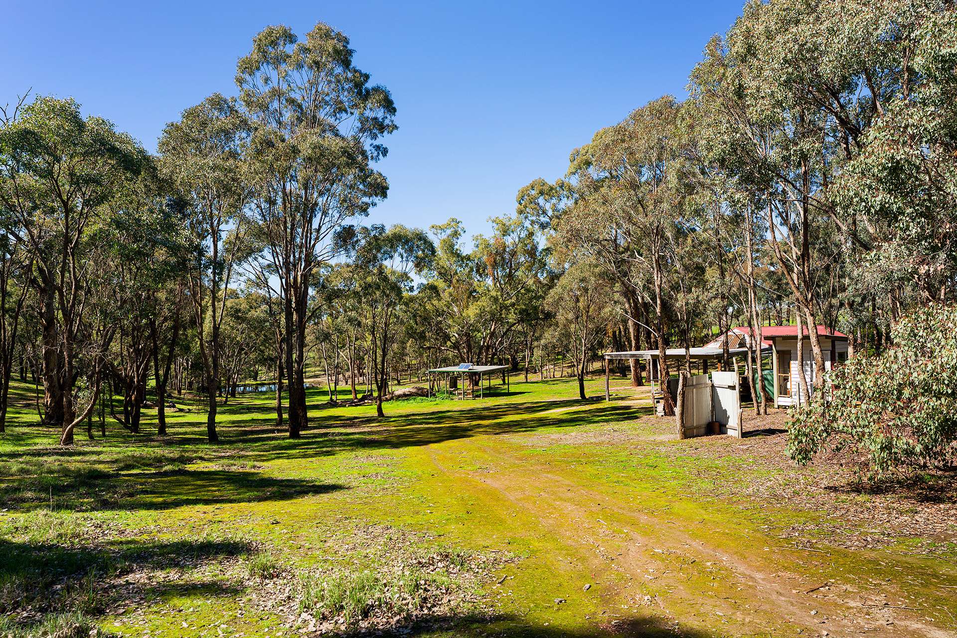 320 Boundary Gully Road, Werona For Sale by Farmbuy.com - image 11