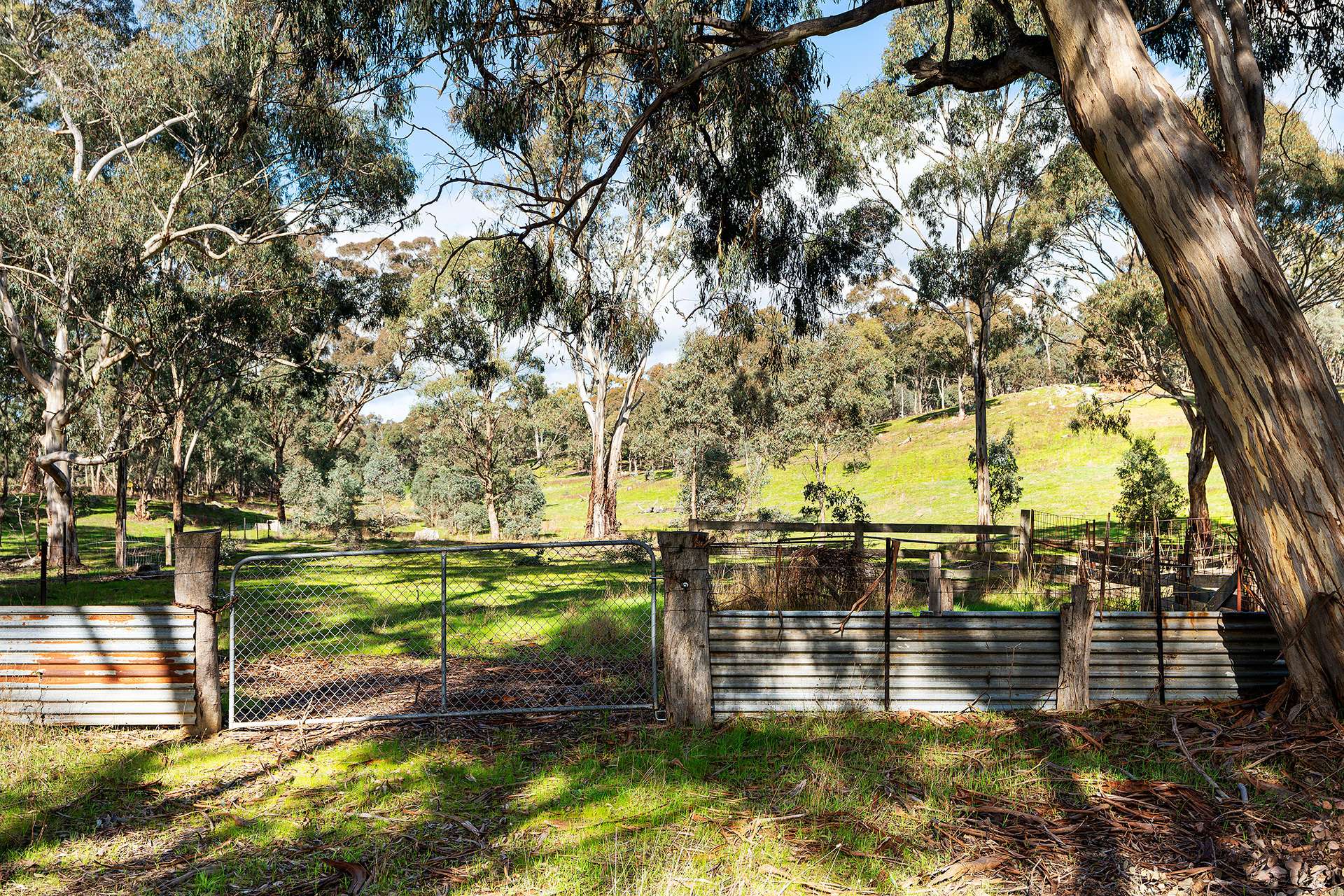 320 Boundary Gully Road, Werona For Sale by Farmbuy.com - image 13