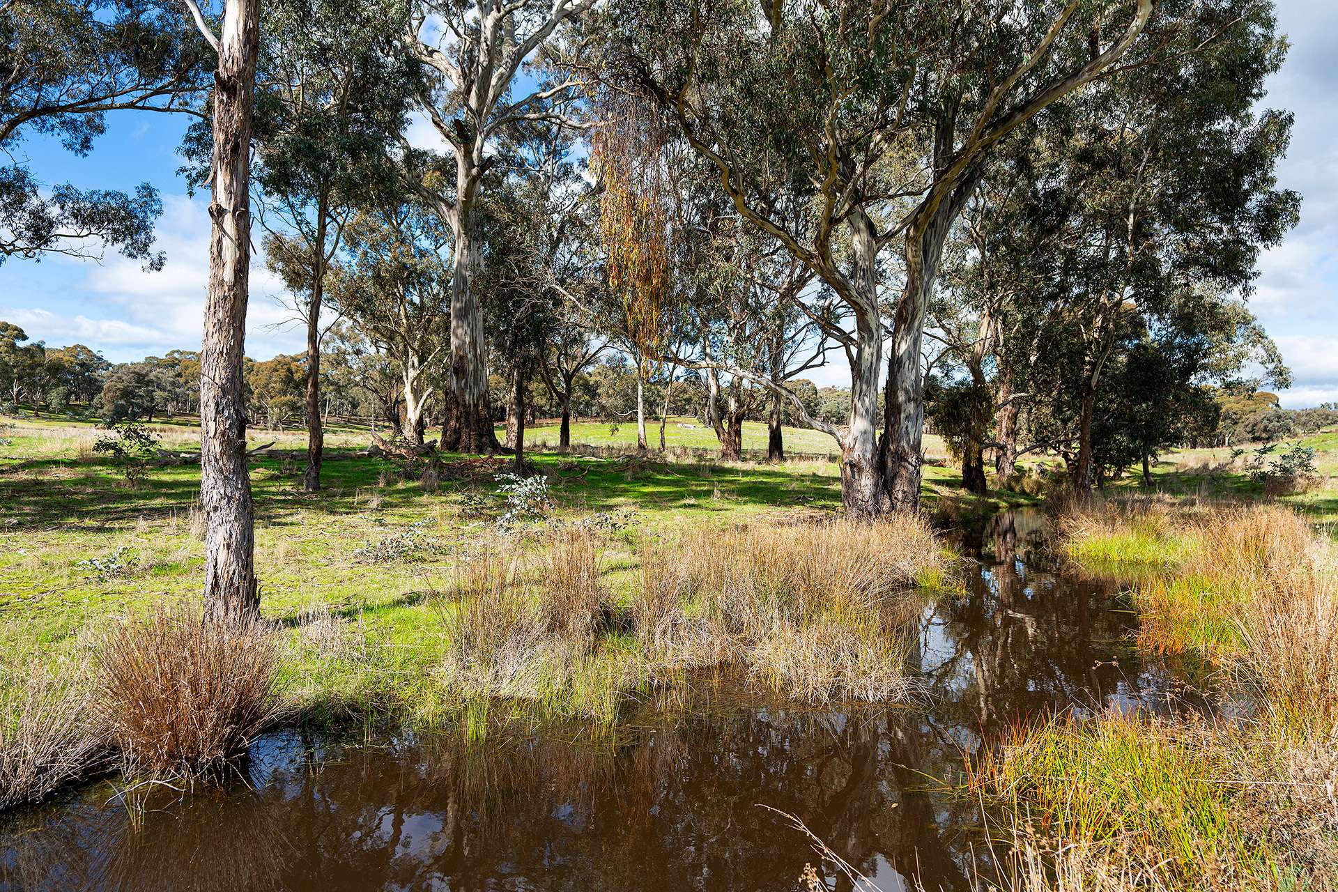 320 Boundary Gully Road, Werona For Sale by Farmbuy.com - image 20