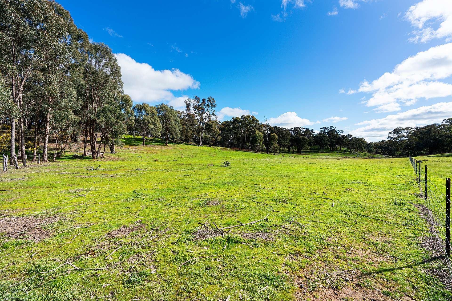 320 Boundary Gully Road, Werona For Sale by Farmbuy.com - image 17