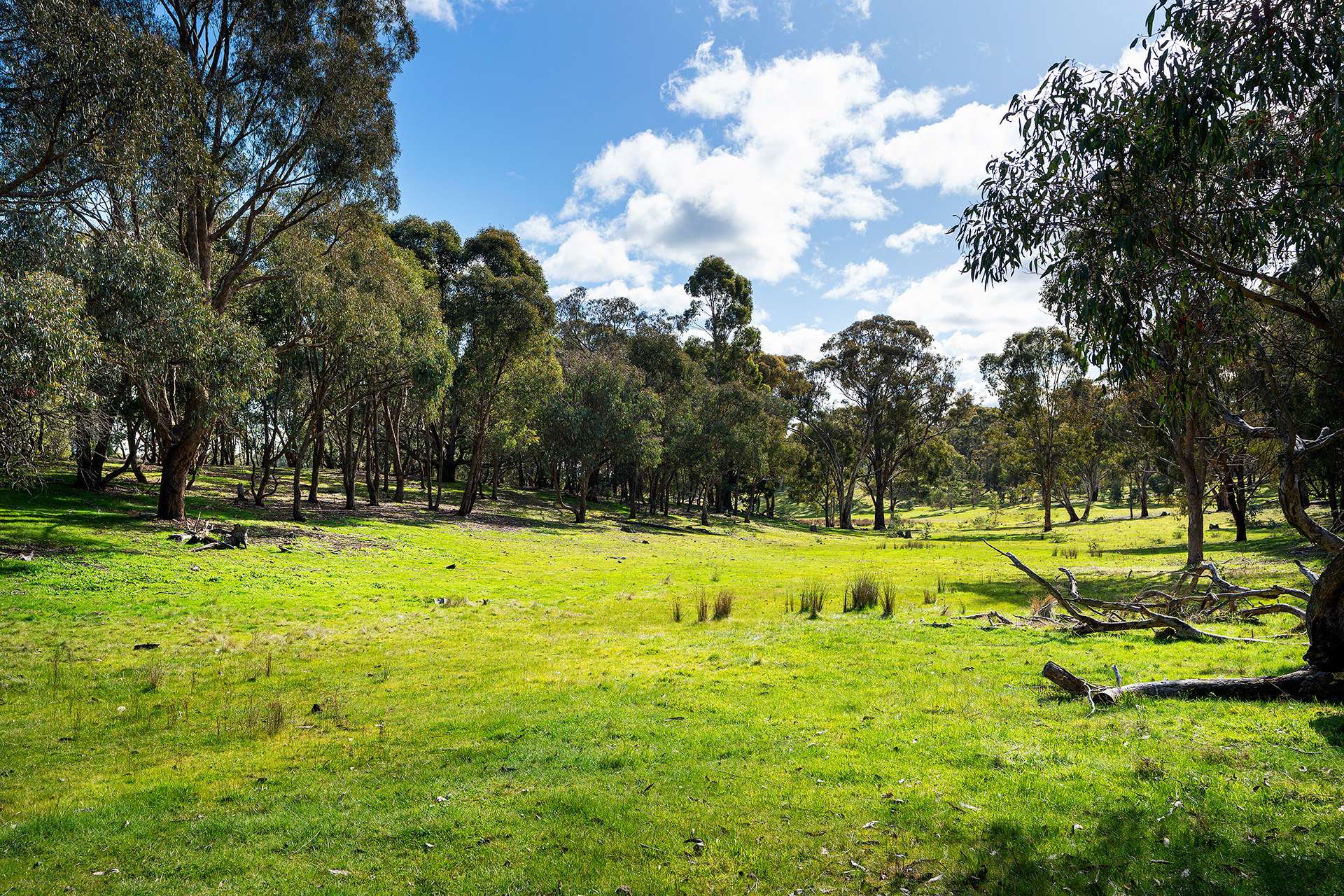320 Boundary Gully Road, Werona For Sale by Farmbuy.com - image 21