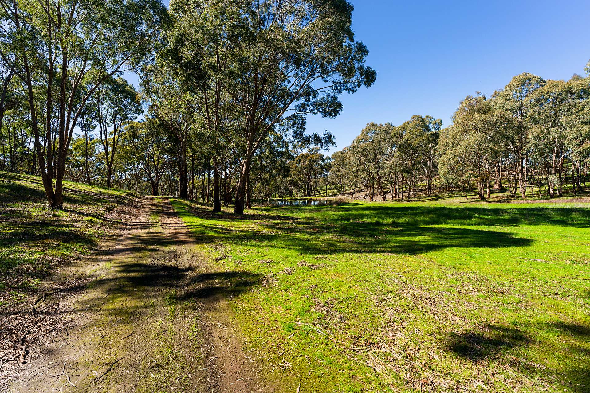 320 Boundary Gully Road, Werona For Sale by Farmbuy.com - image 31
