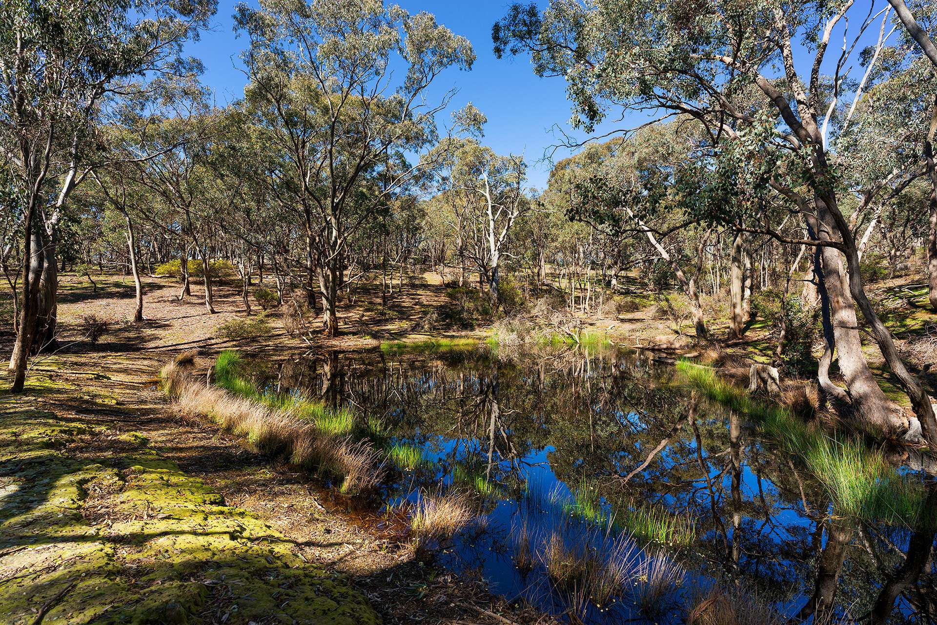 320 Boundary Gully Road, Werona For Sale by Farmbuy.com - image 32