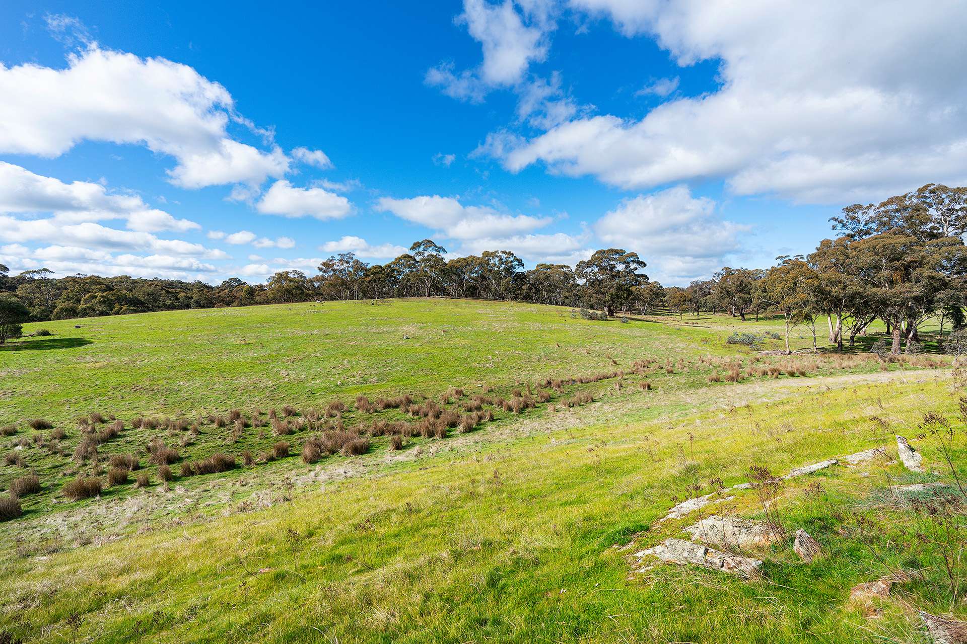320 Boundary Gully Road, Werona For Sale by Farmbuy.com - image 19