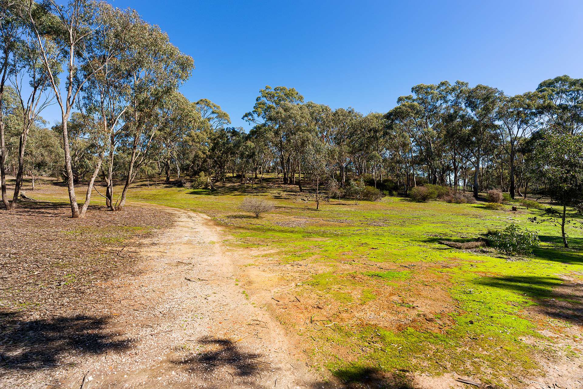 320 Boundary Gully Road, Werona For Sale by Farmbuy.com - image 30