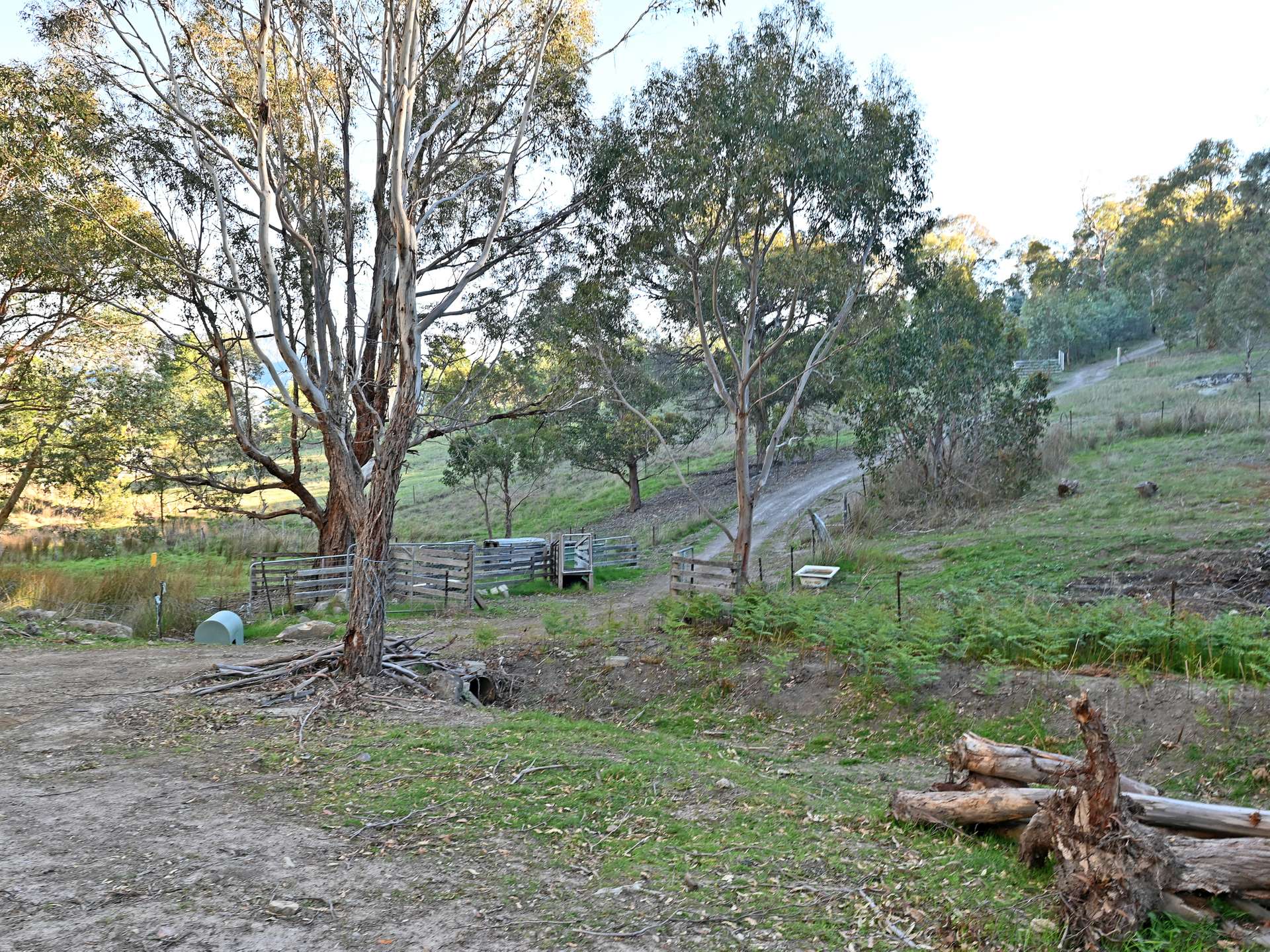33 Tongatabu Road, Dromedary For Sale by Farmbuy.com - image 33