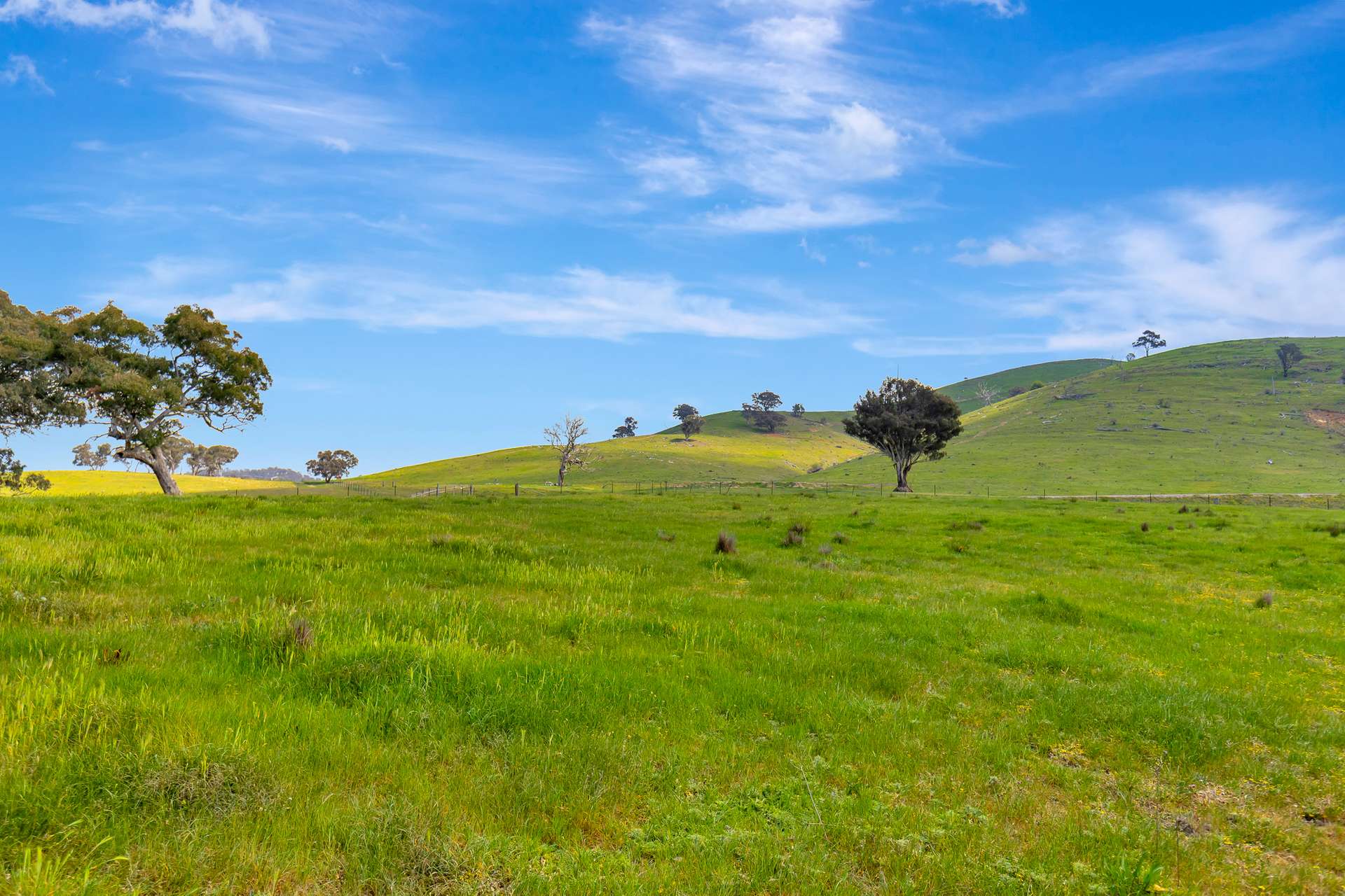 1550 Crudine Road, Crudine For Sale by Farmbuy.com - image 15