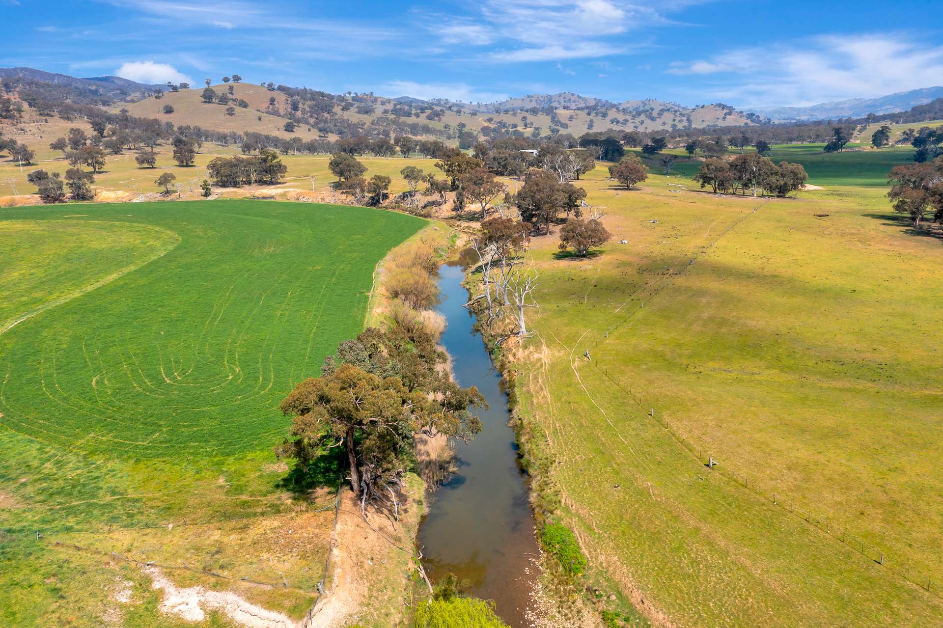 1550 Crudine Road, Crudine For Sale by Farmbuy.com - image 4