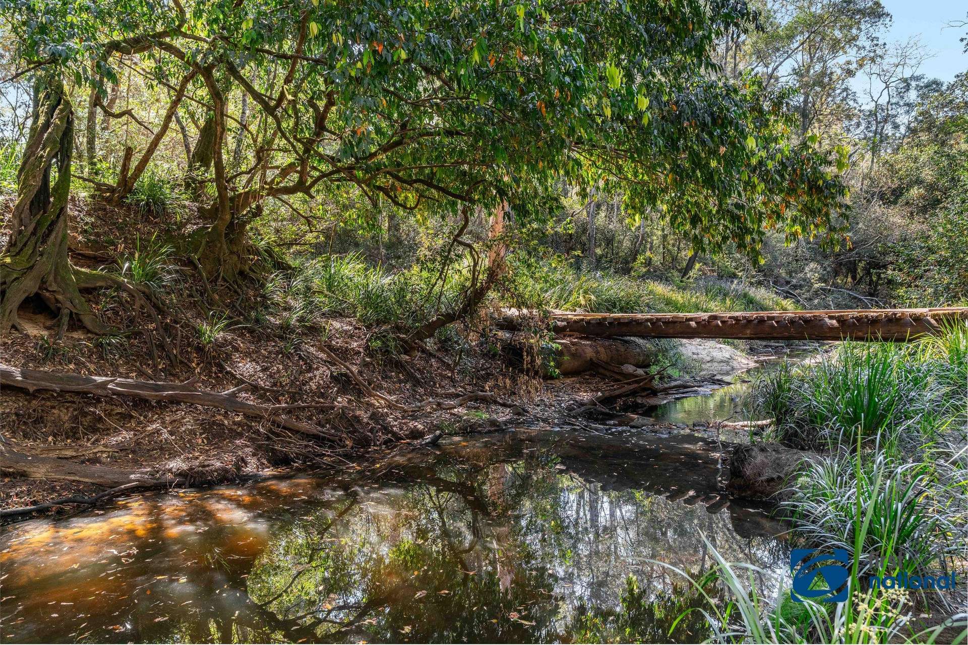 Myrtle Creek For Sale by Farmbuy.com - image 4