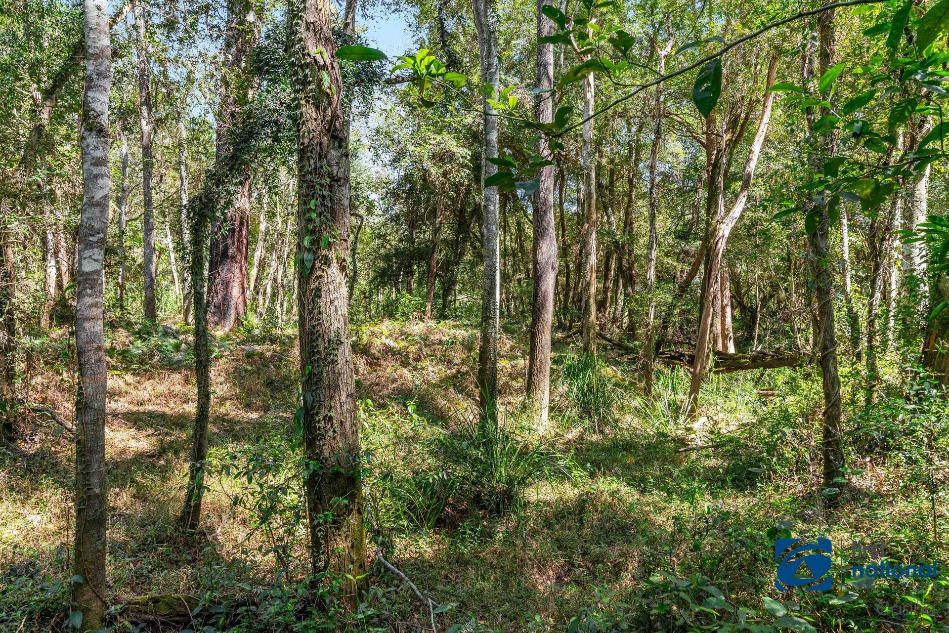 Myrtle Creek For Sale by Farmbuy.com - image 20