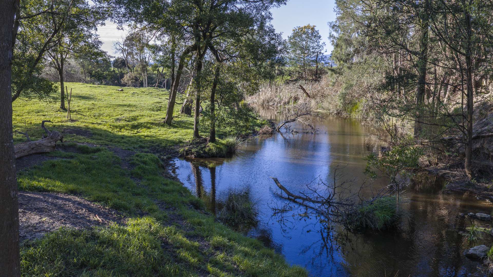 130 Wimpole Road, Bunyip North For Sale by Farmbuy.com - image 7