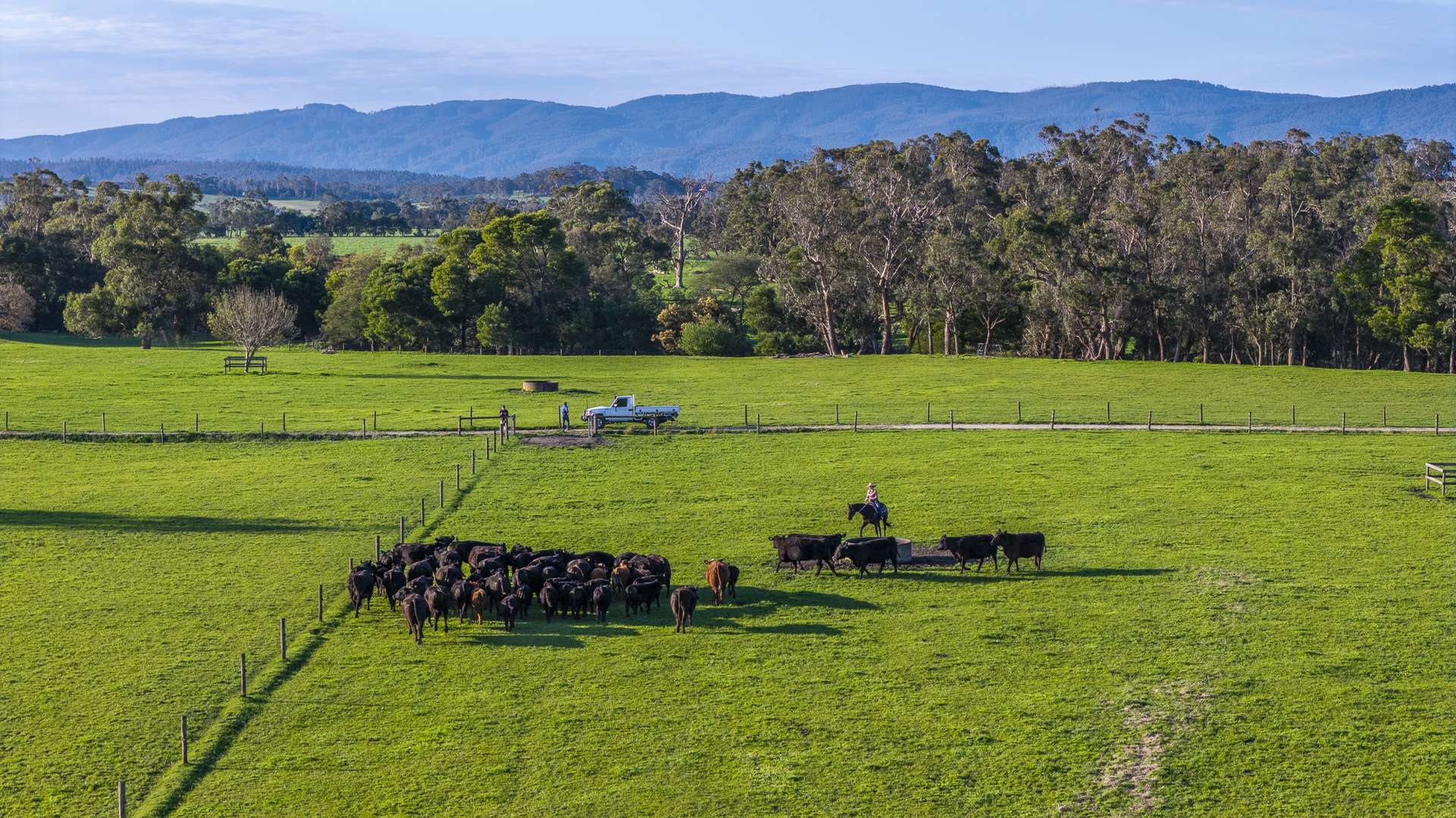 130 Wimpole Road, Bunyip North For Sale by Farmbuy.com - image 4