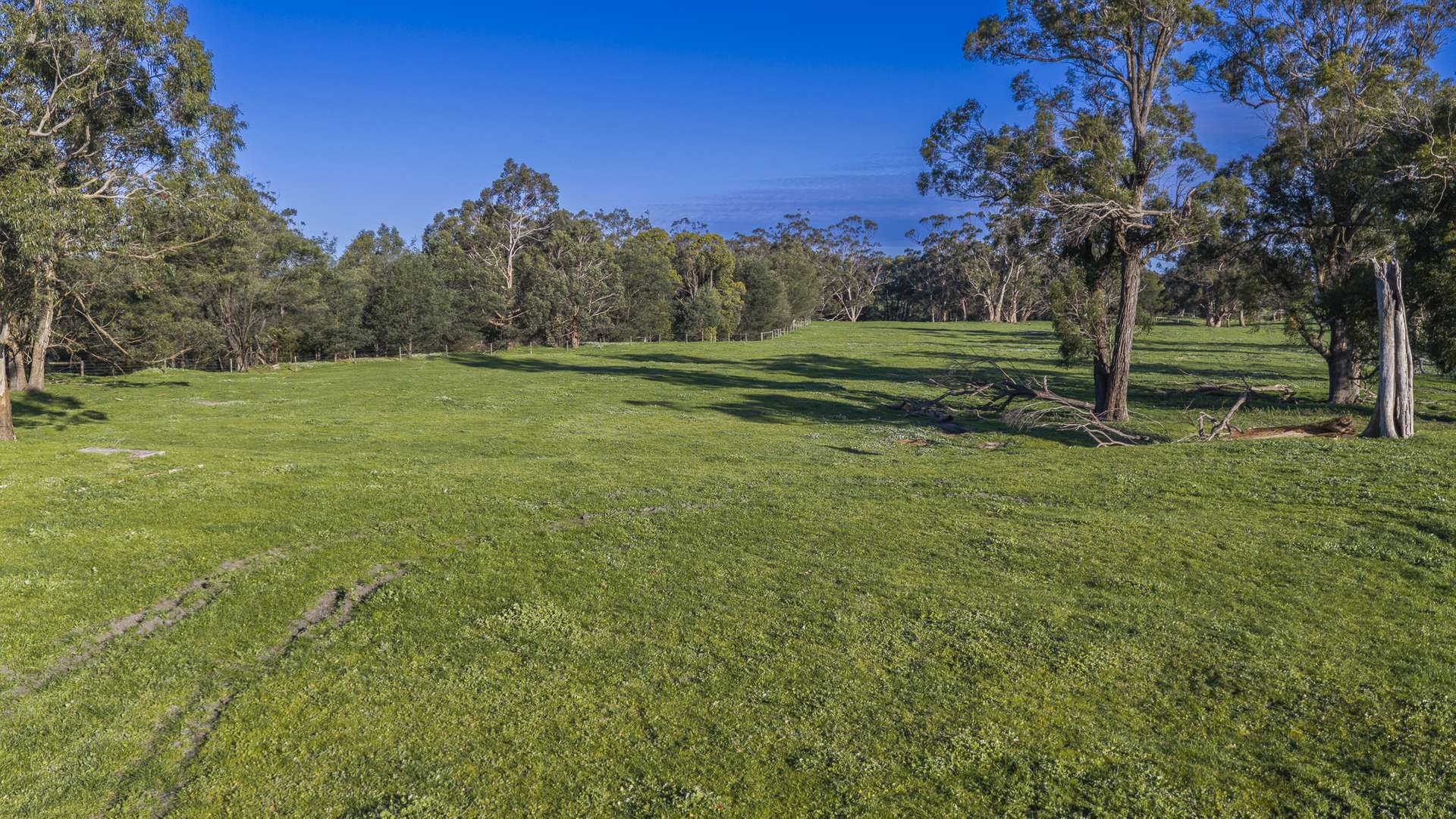 130 Wimpole Road, Bunyip North For Sale by Farmbuy.com - image 11