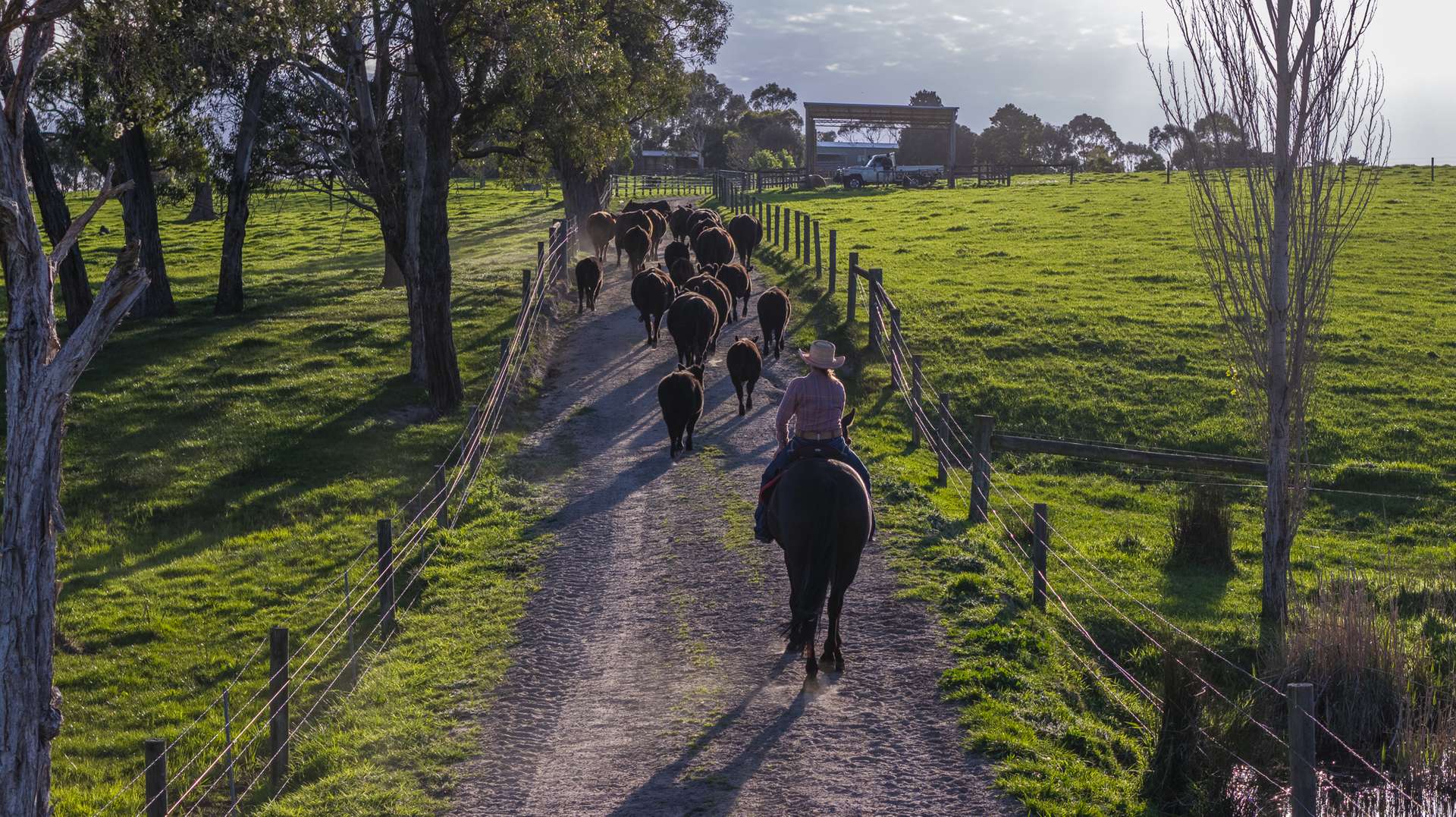 130 Wimpole Road, Bunyip North For Sale by Farmbuy.com - image 10