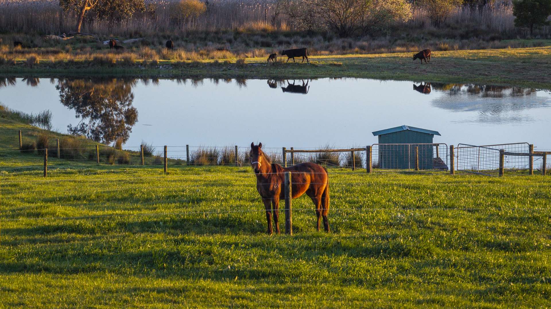 130 Wimpole Road, Bunyip North For Sale by Farmbuy.com - image 3