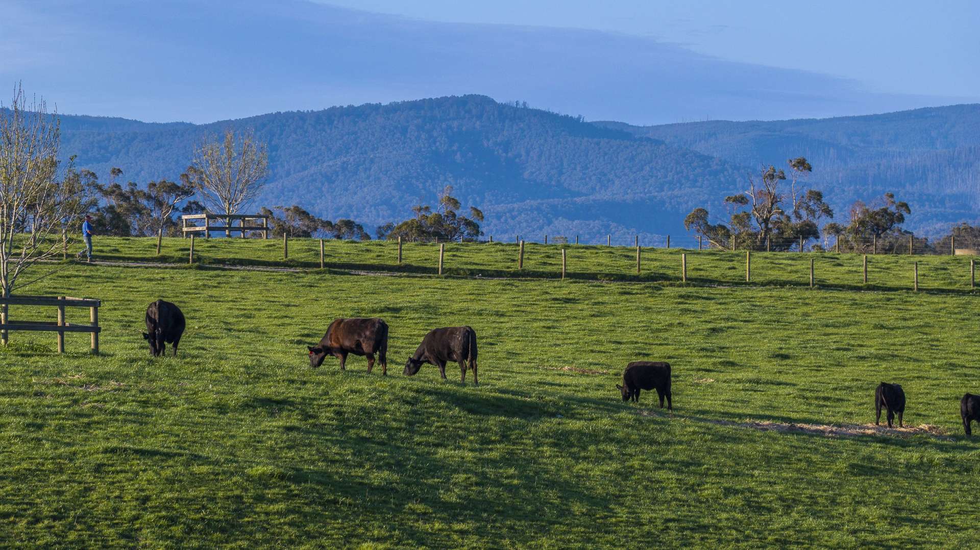 130 Wimpole Road, Bunyip North For Sale by Farmbuy.com - image 19