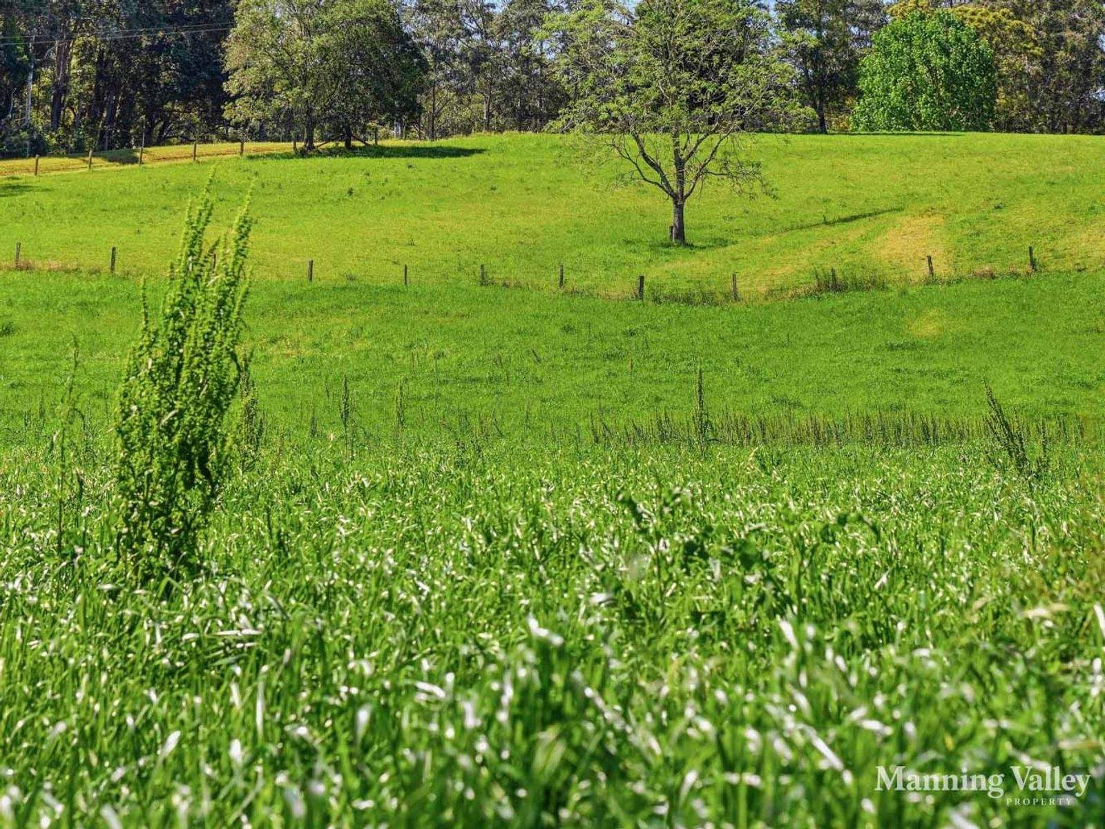 66 Kippax Road, Kippaxs For Sale by Farmbuy.com - image 19