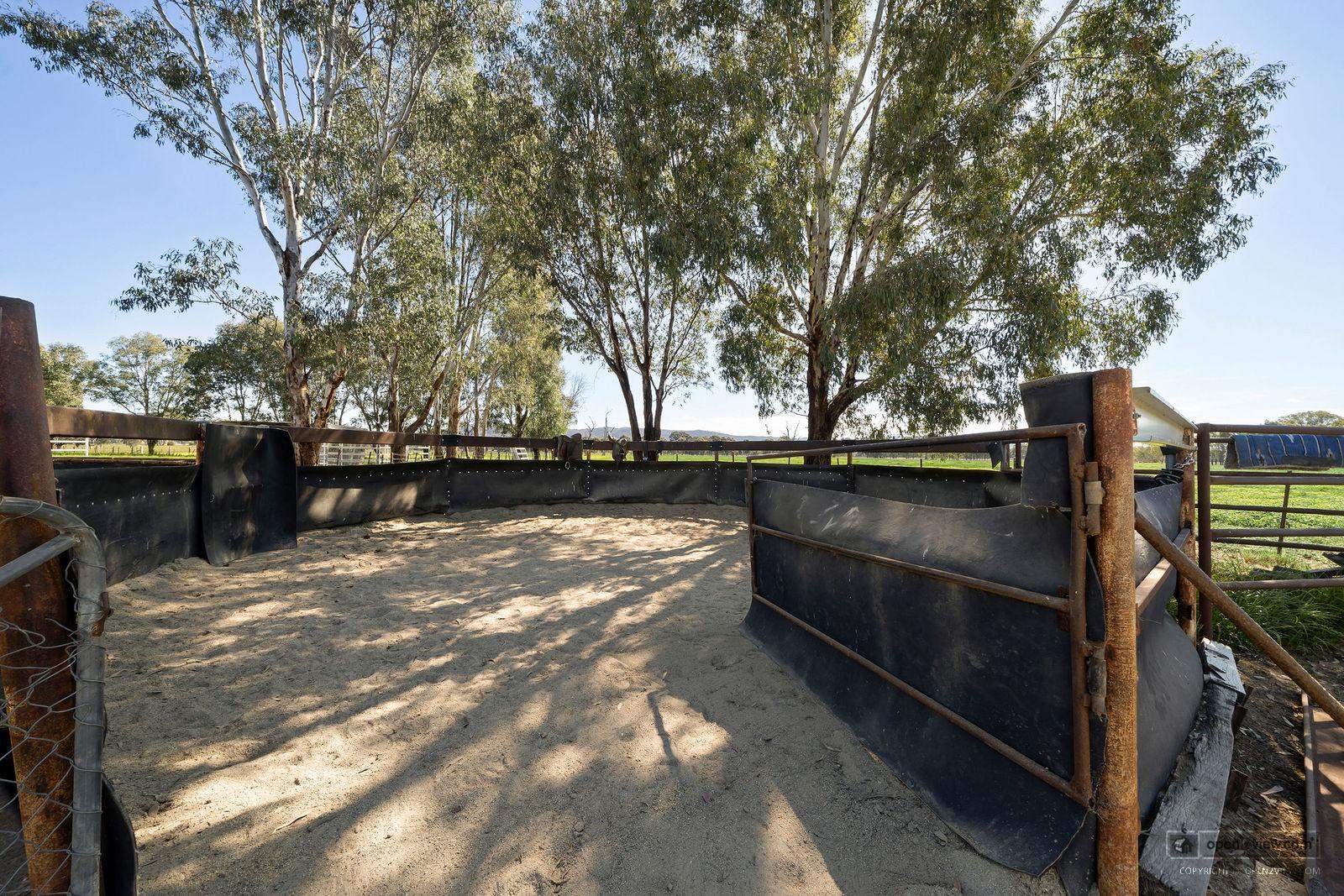 104 Glenrowan Road, Wangaratta South For Sale by Farmbuy.com - image 14