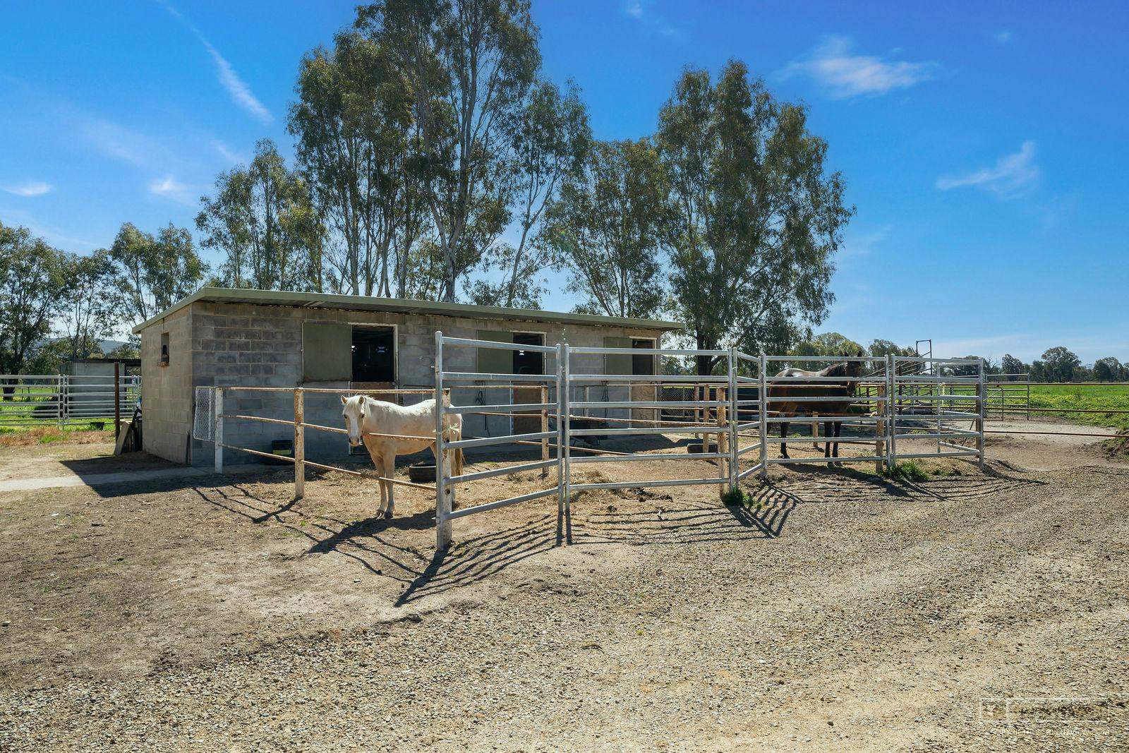 104 Glenrowan Road, Wangaratta South For Sale by Farmbuy.com - image 15