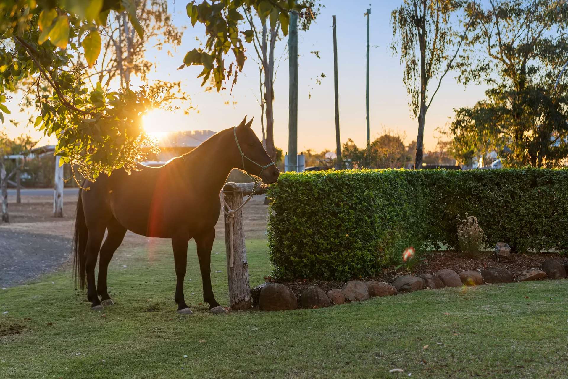 229 Branch Creek Road, Dalby For Sale by Farmbuy.com - image 1