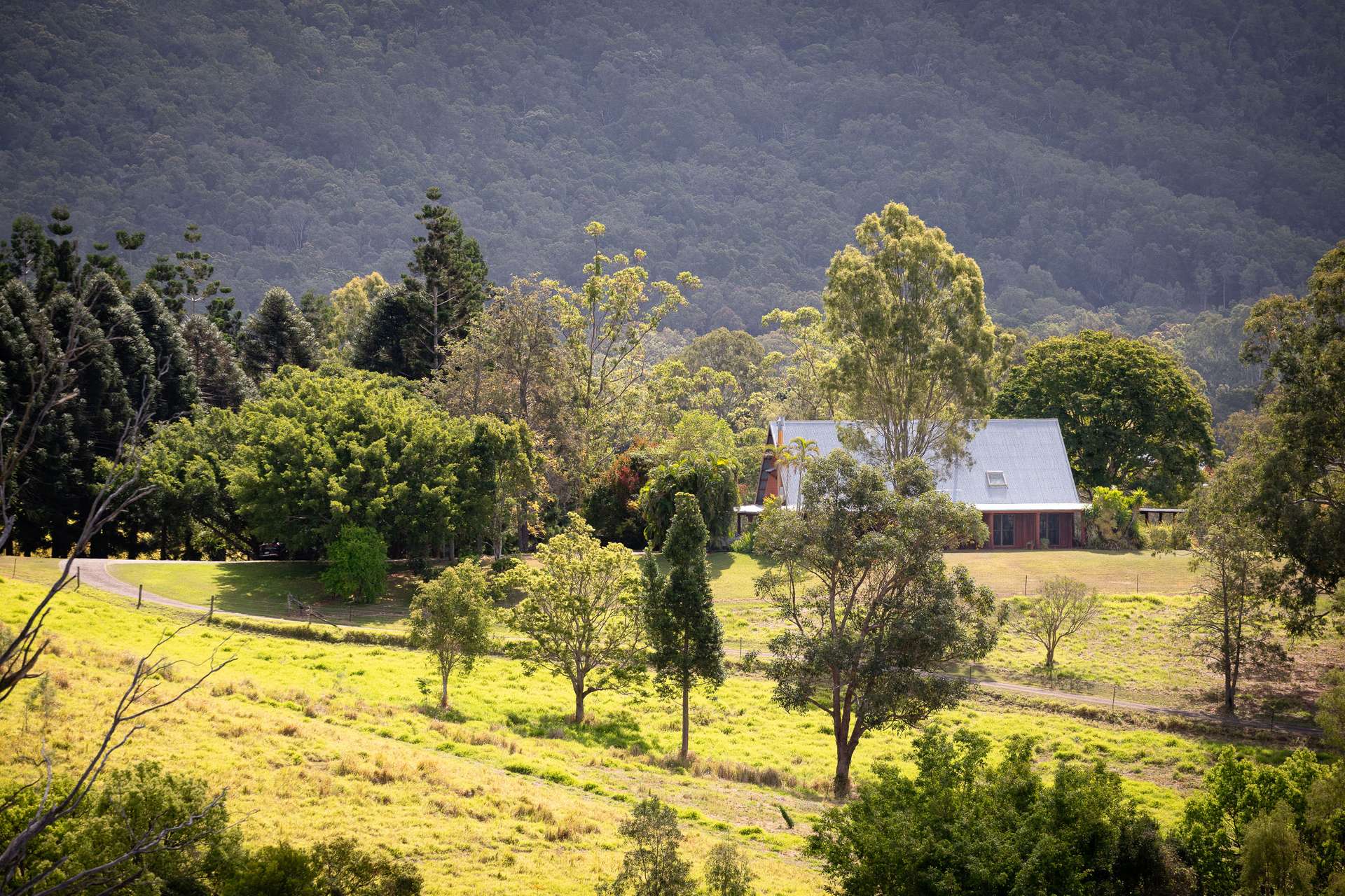 89 Dawson Creek Road, Highvale For Sale by Farmbuy.com - image 5