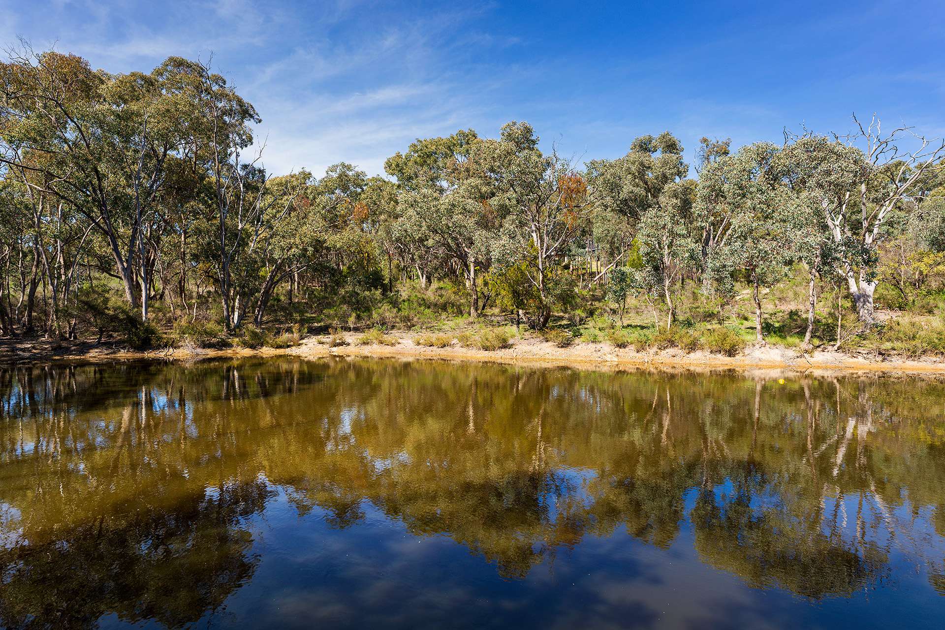 60 Sparks Road, Chewton Bushlands For Sale by Farmbuy.com - image 27