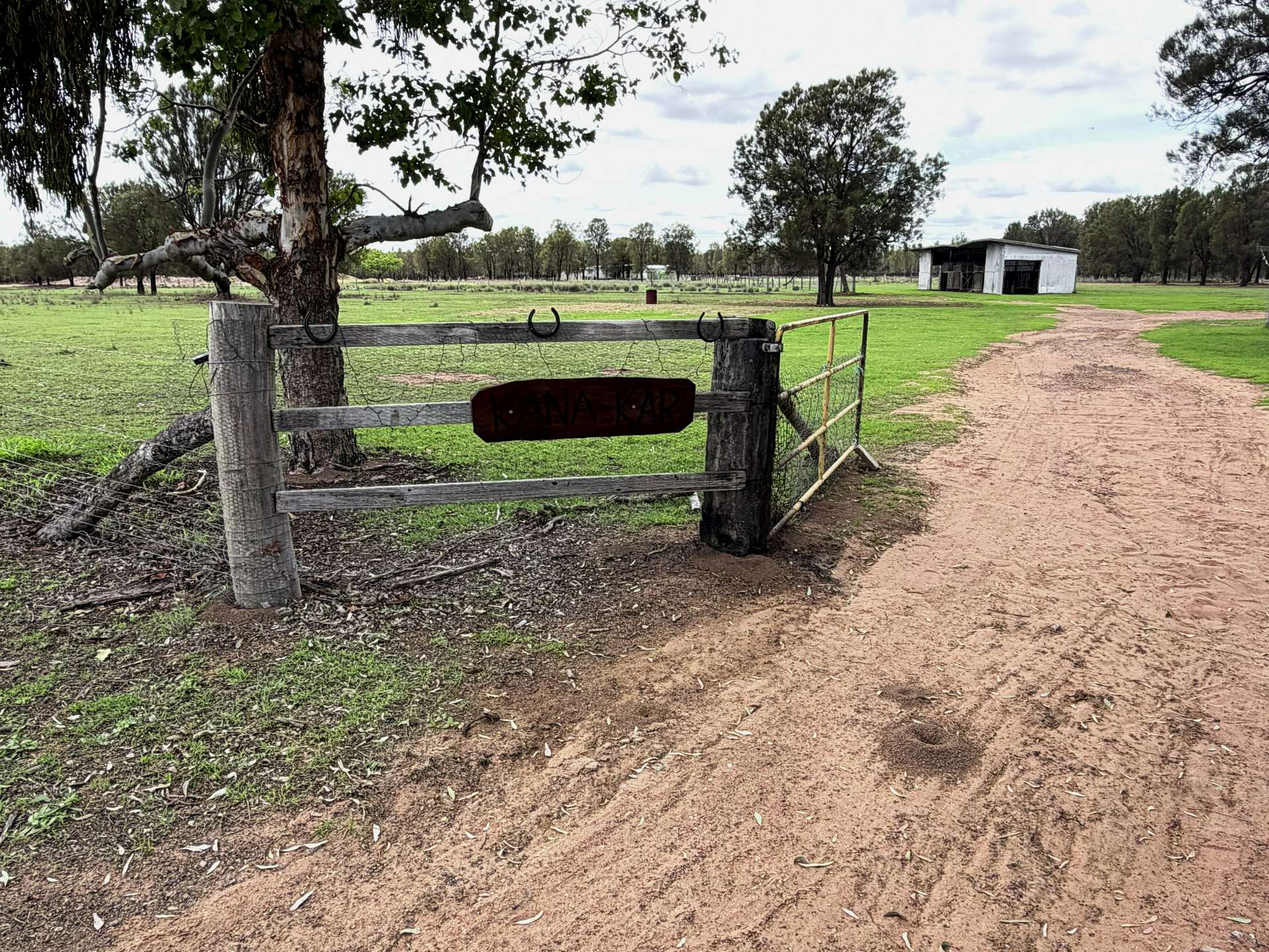 138 Liberator Place, Leyburn For Sale by Farmbuy.com - image 29