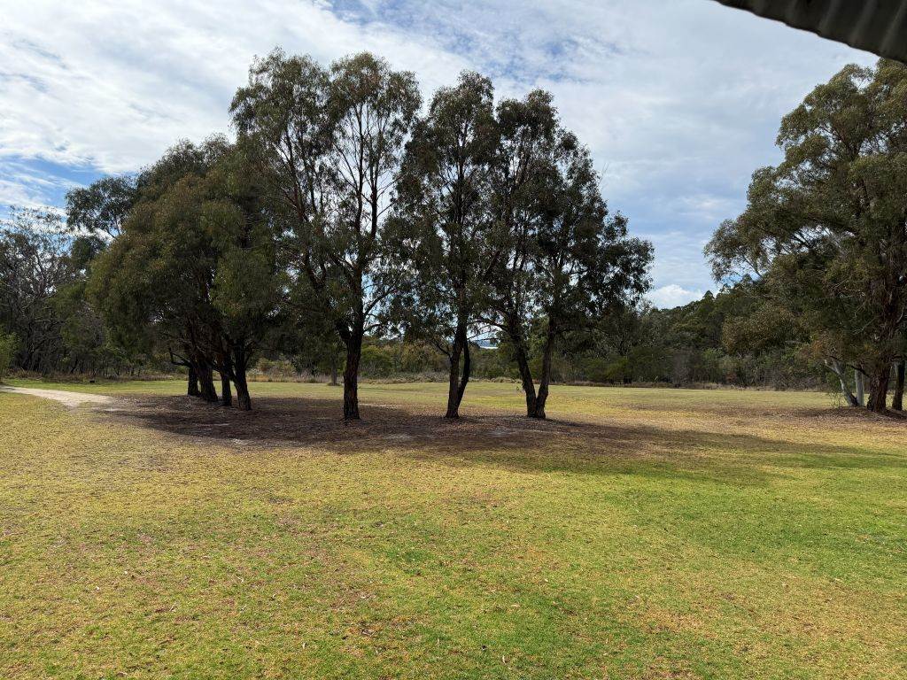 271 Ellwood Road, Applethorpe For Sale by Farmbuy.com - image 18
