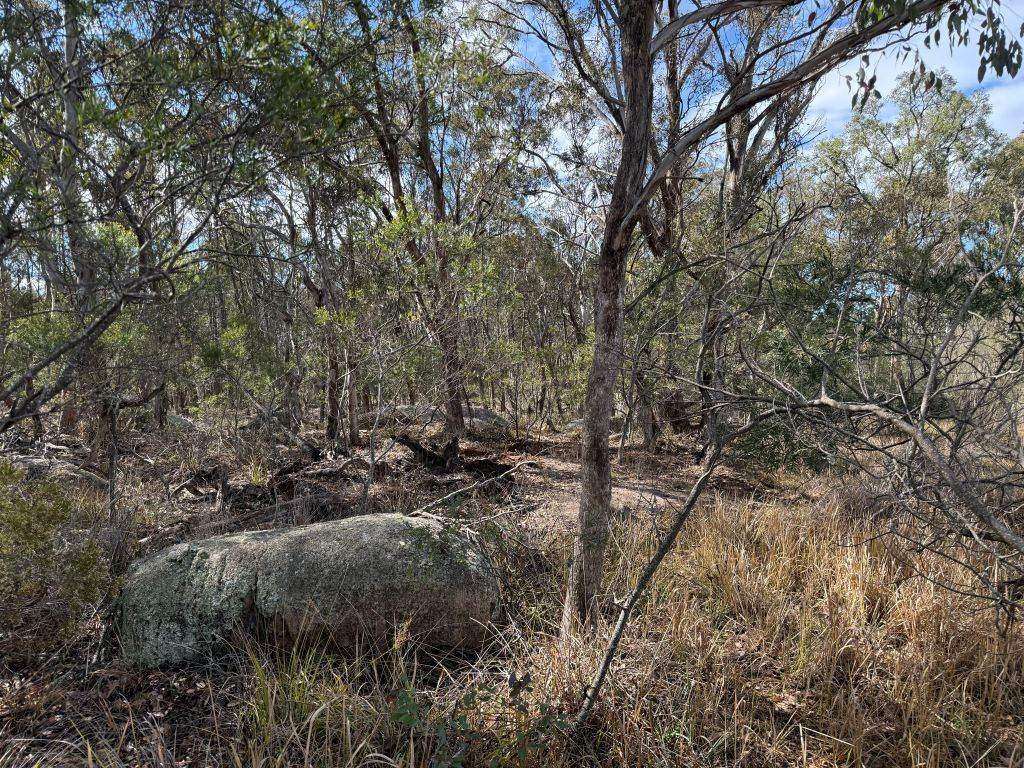 271 Ellwood Road, Applethorpe For Sale by Farmbuy.com - image 16
