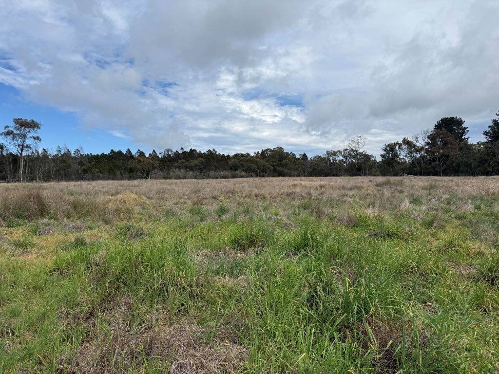 271 Ellwood Road, Applethorpe For Sale by Farmbuy.com - image 20