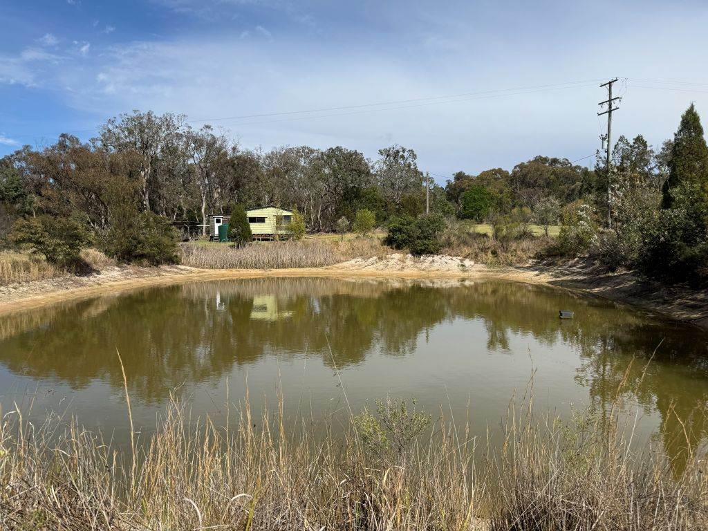 271 Ellwood Road, Applethorpe For Sale by Farmbuy.com - image 15