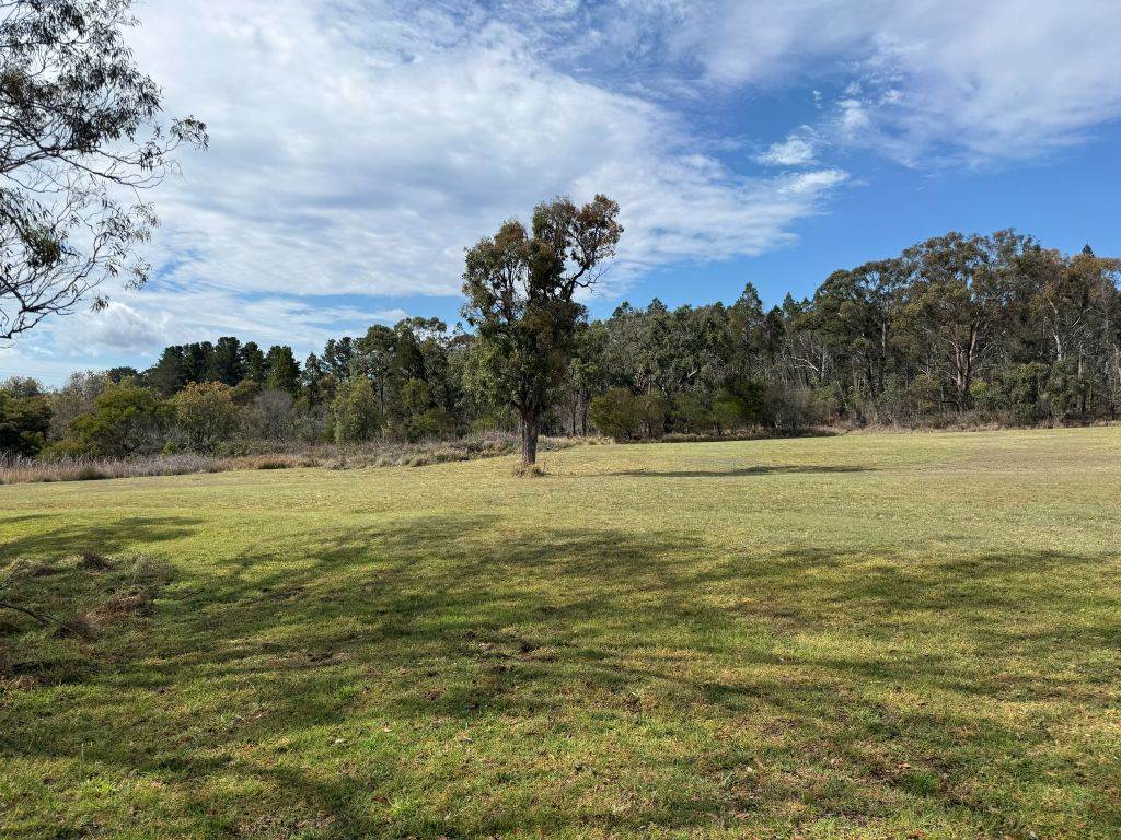 271 Ellwood Road, Applethorpe For Sale by Farmbuy.com - image 17