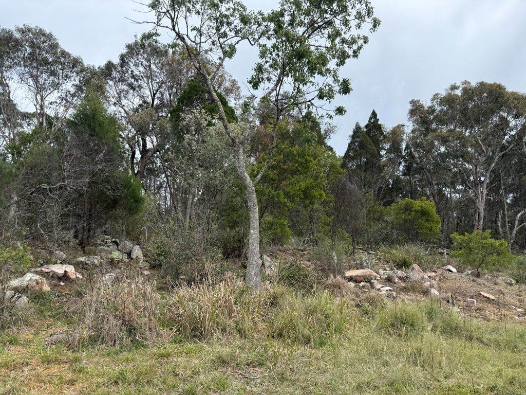 271 Ellwood Road, Applethorpe For Sale by Farmbuy.com - image 19