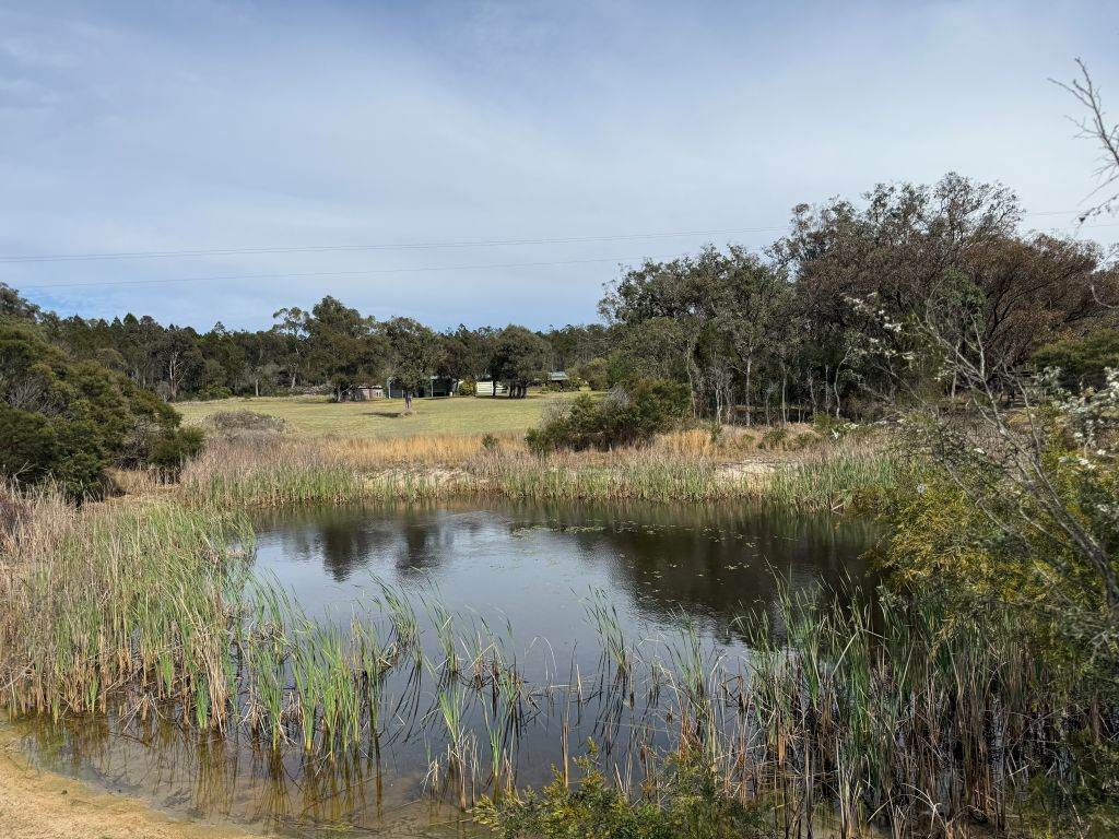 271 Ellwood Road, Applethorpe For Sale by Farmbuy.com - image 4