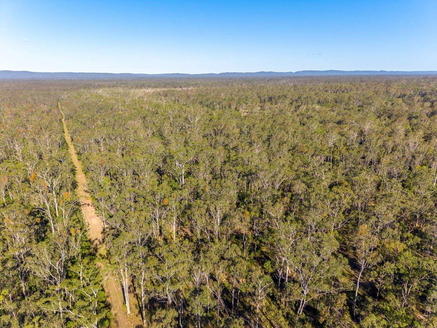 2395 Myall Creek Road, West Bungawalbin For Sale by Farmbuy.com - image 18