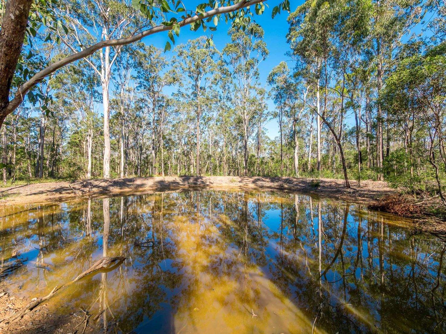 2395 Myall Creek Road, West Bungawalbin For Sale by Farmbuy.com - image 17