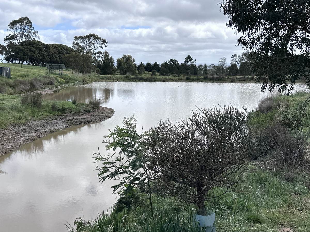 650 Pollocksford Road, Gnarwarre For Sale by Farmbuy.com - image 27