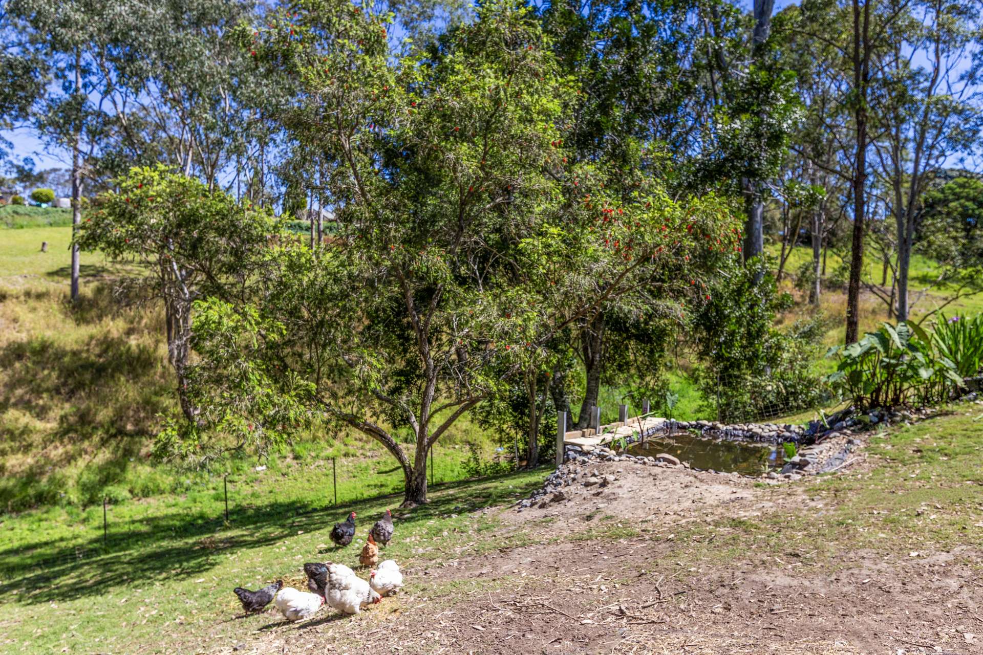 3 Hilda Close, Taree Auction by Farmbuy.com - image 23