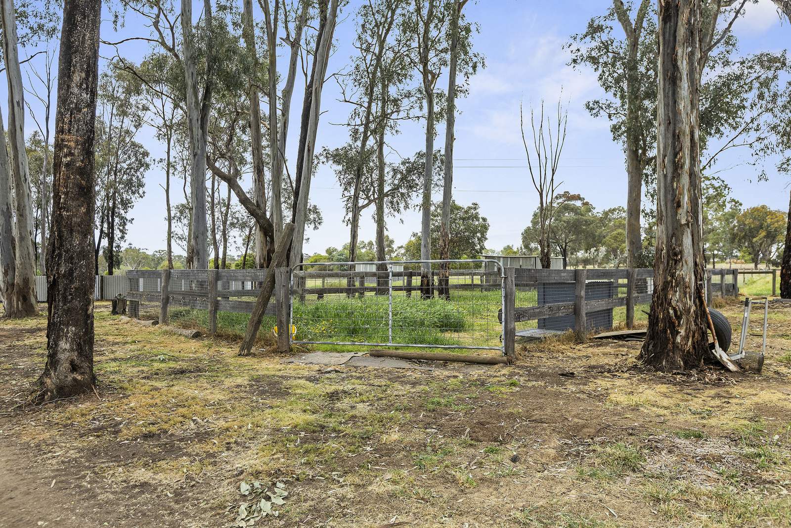 27 Wellsford Road, Longlea For Sale by Farmbuy.com - image 24
